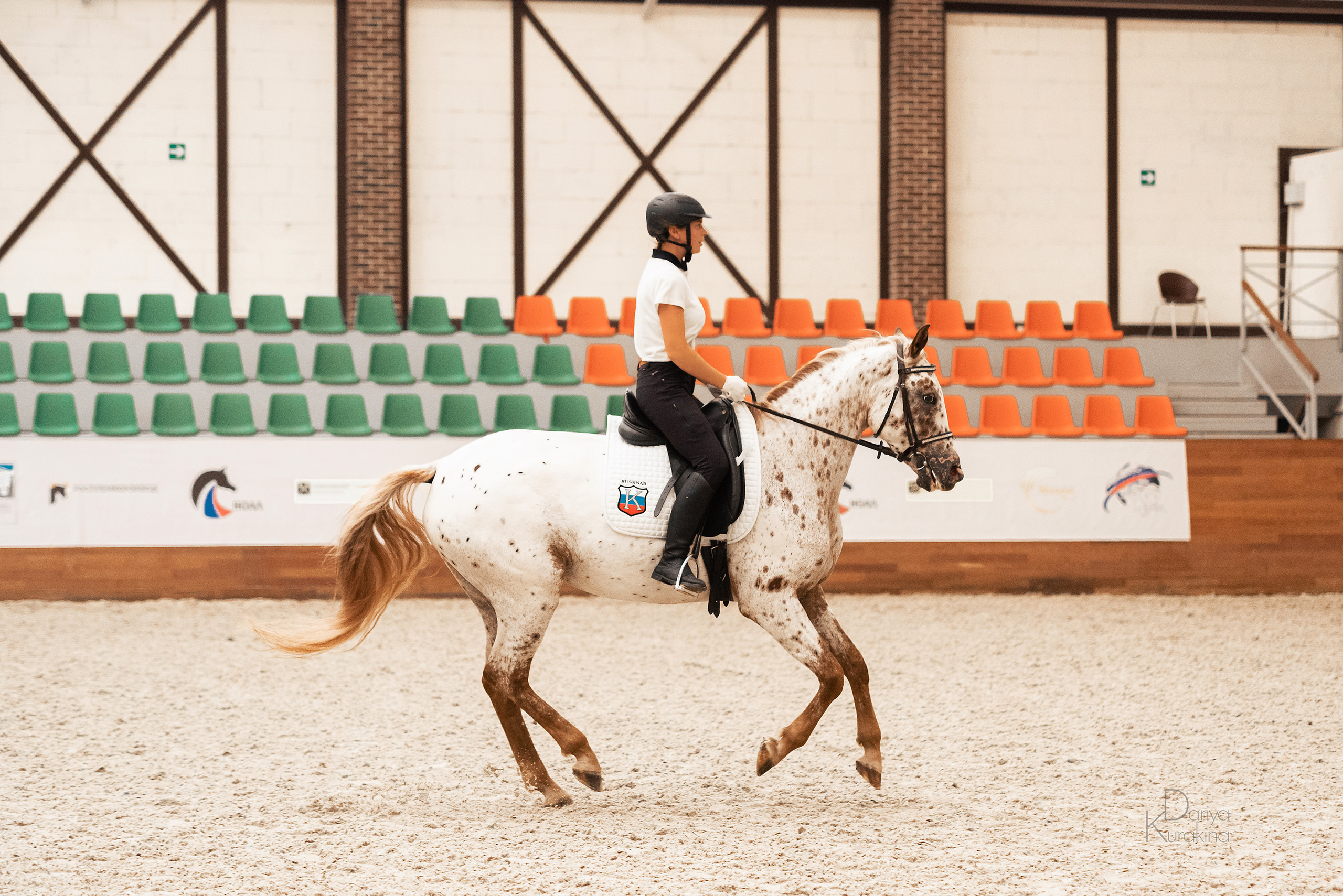 Конная Россия 2021. Конный фотограф Куракина Дарья • Фотосессии с лошадьми