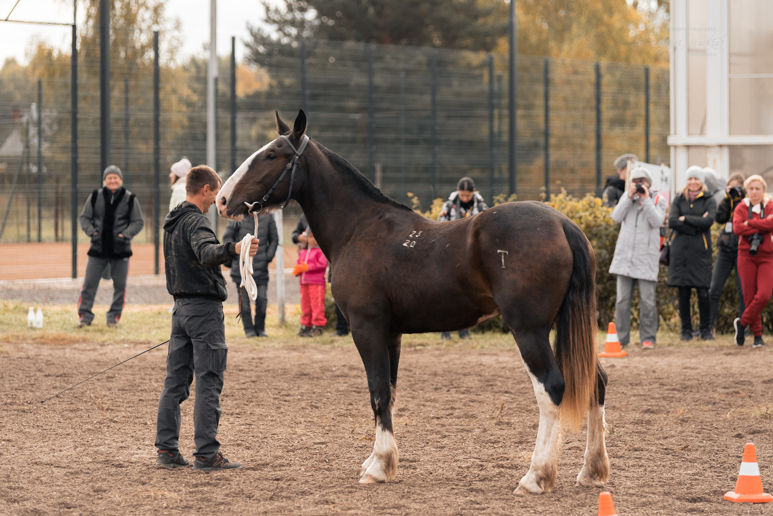 Богдарня. Конный фотограф Куракина Дарья • Фотосессии с лошадьми