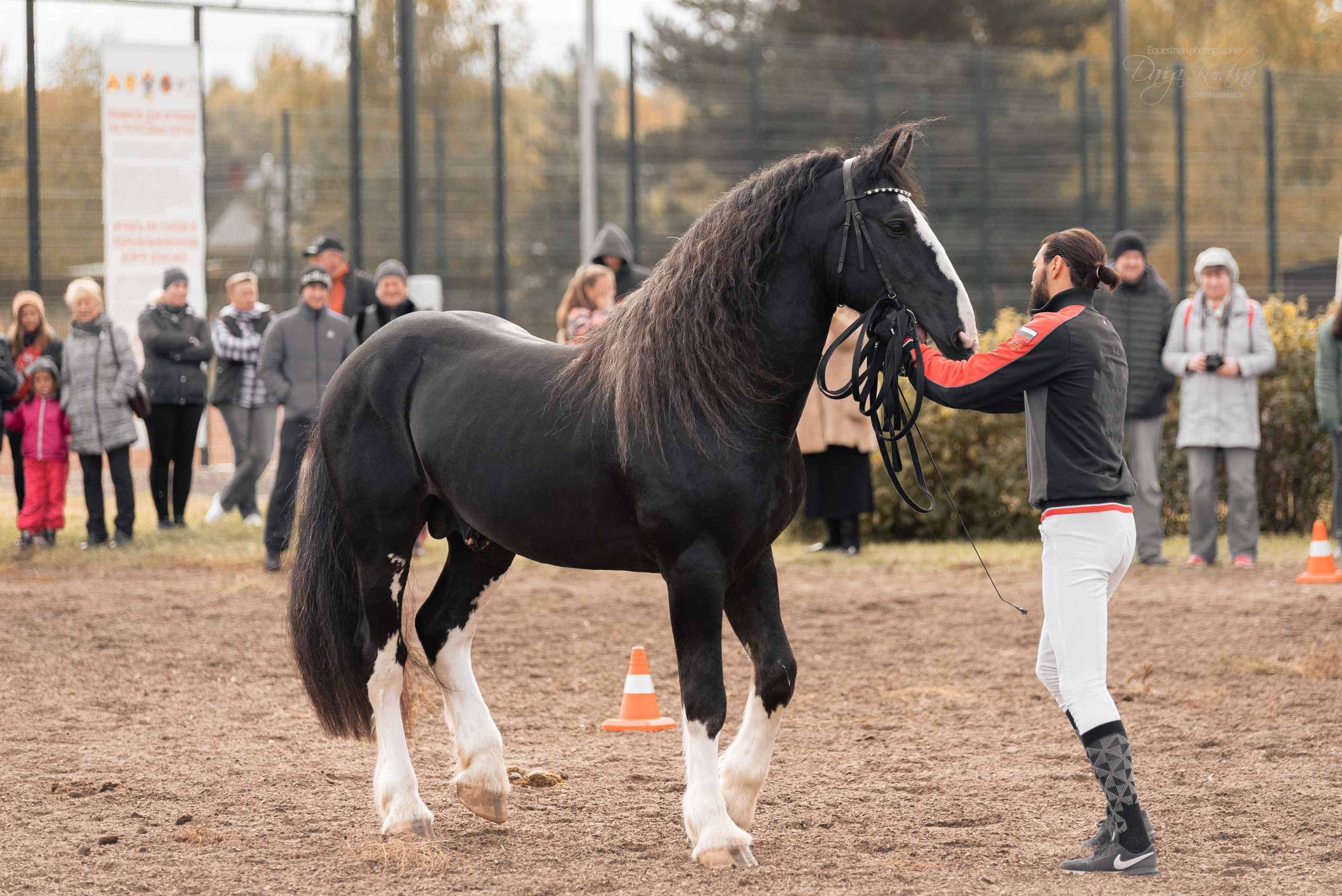 Богдарня. Конный фотограф Куракина Дарья • Фотосессии с лошадьми