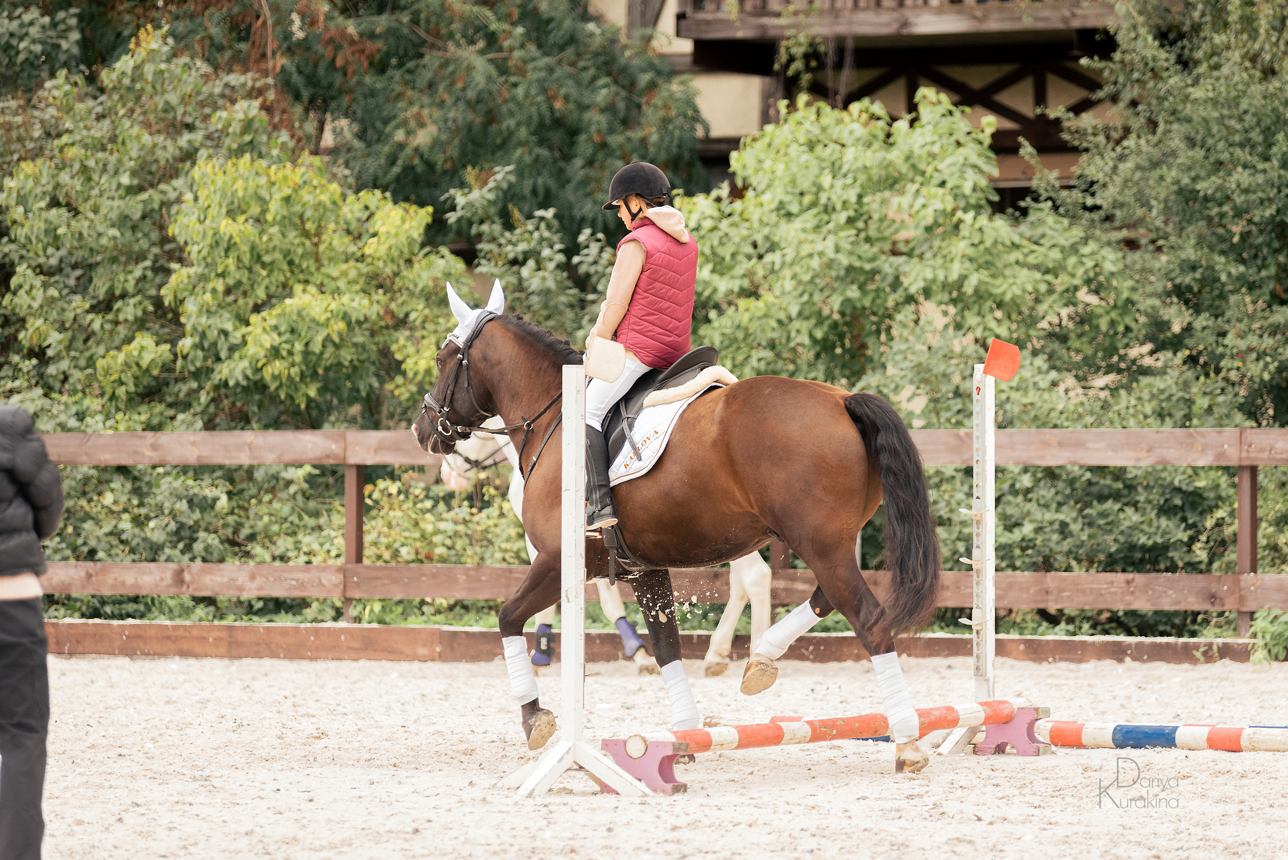 КСК Белая Дача, конкур. Конный фотограф Куракина Дарья • Фотосессии с лошадьми