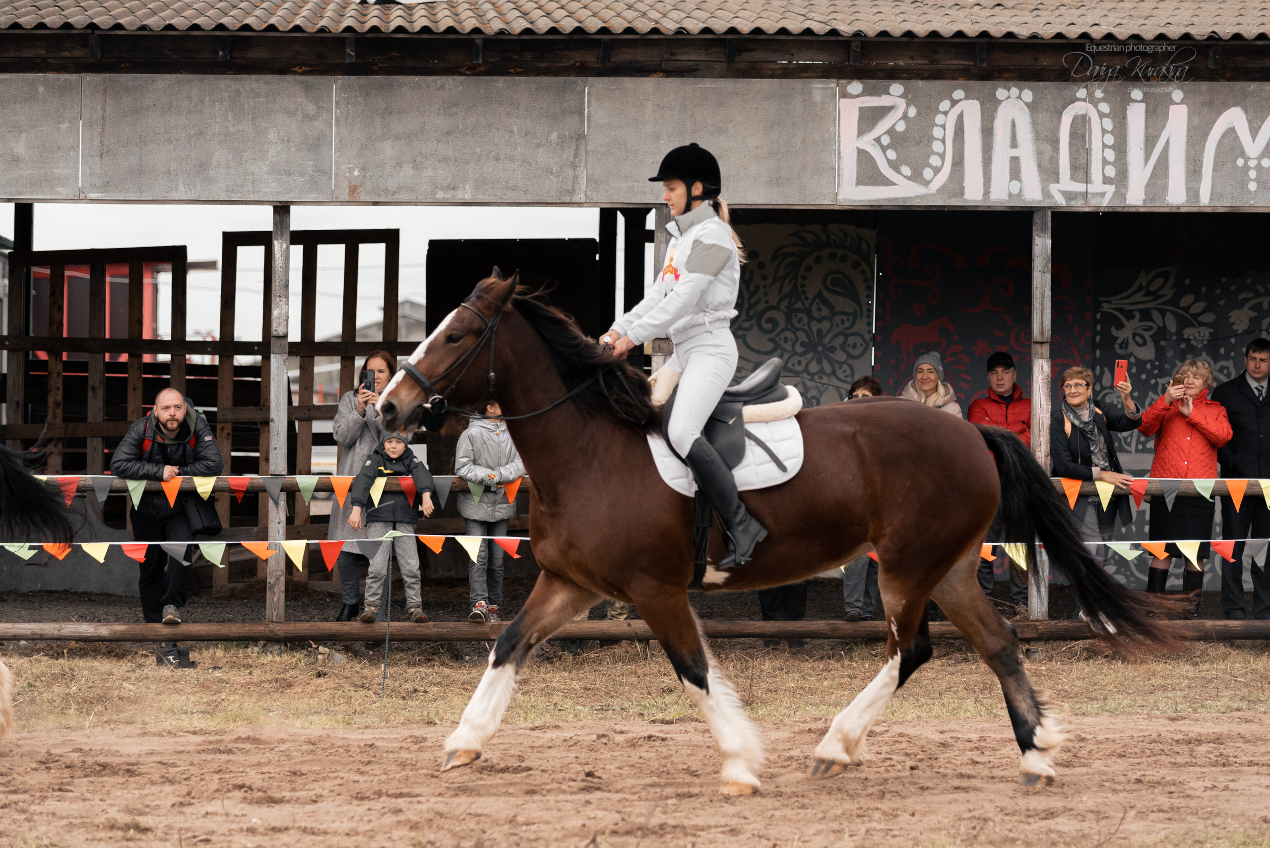 Богдарня. Конный фотограф Куракина Дарья • Фотосессии с лошадьми