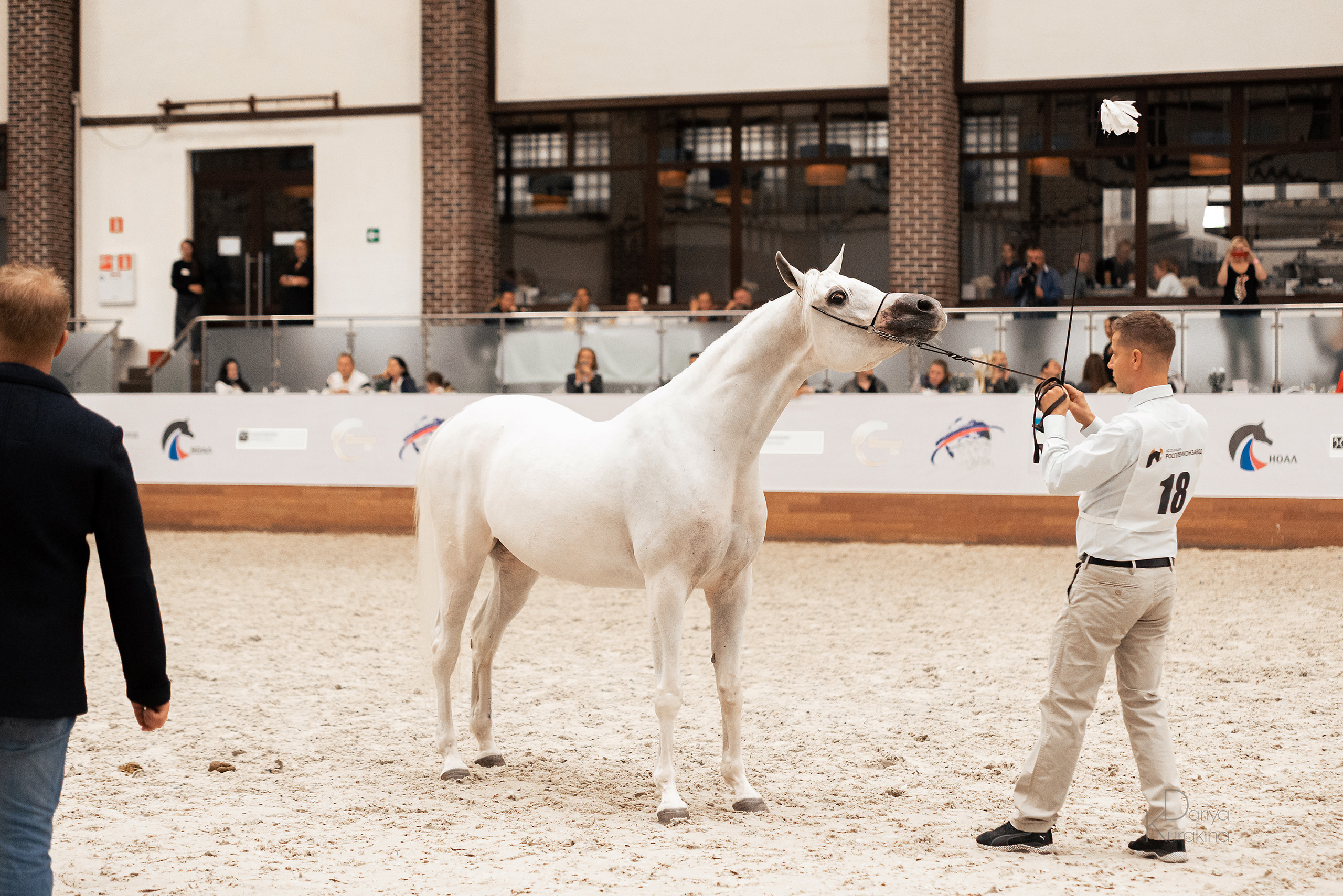 Конная Россия 2021. Конный фотограф Куракина Дарья • Фотосессии с лошадьми