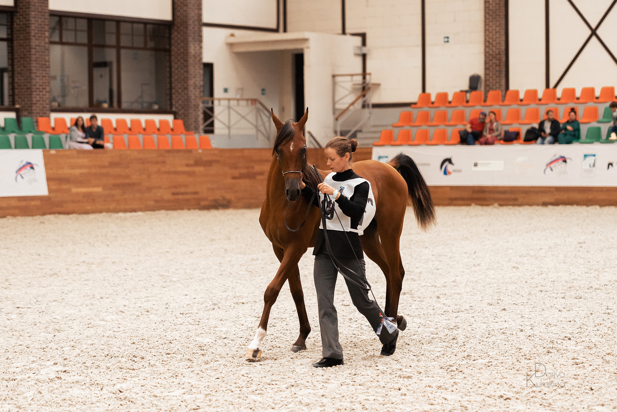 Конная Россия 2021. Конный фотограф Куракина Дарья • Фотосессии с лошадьми