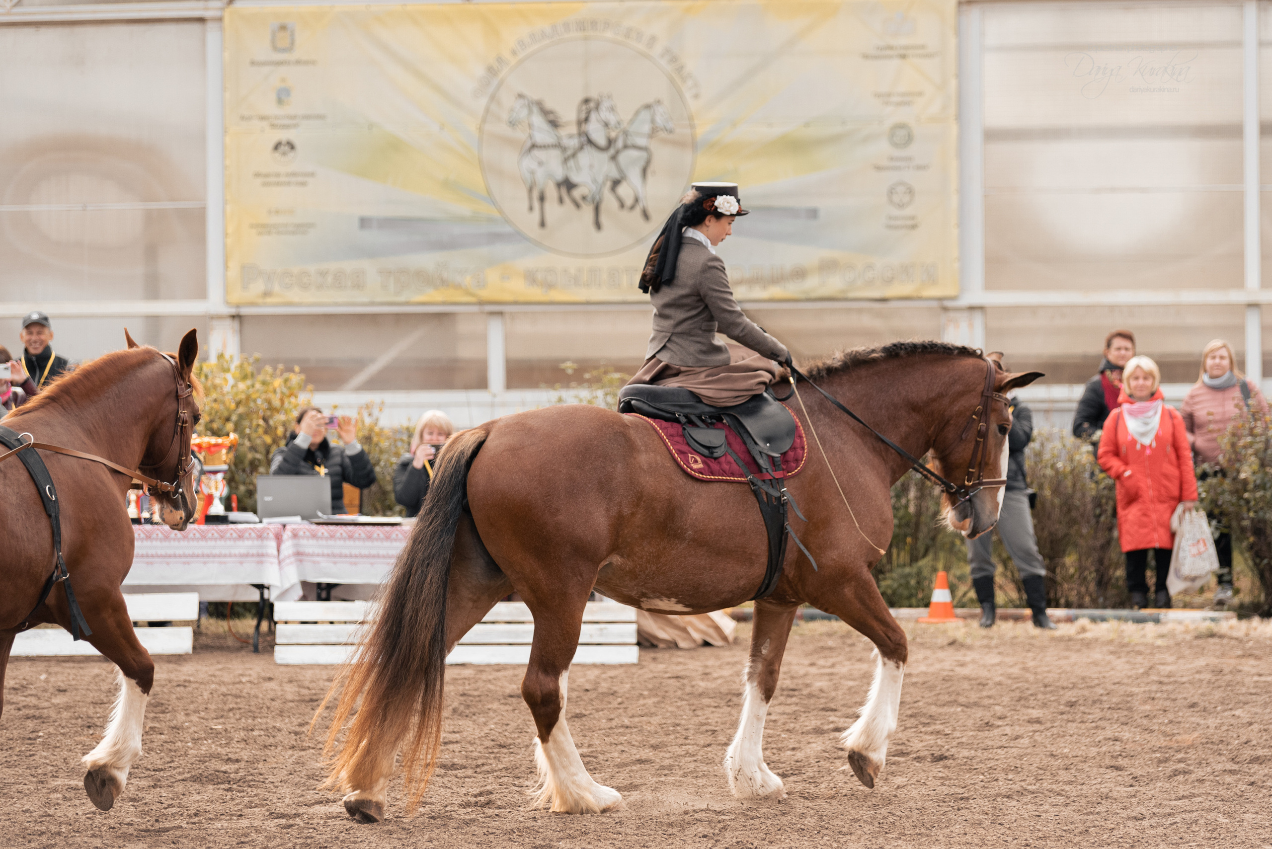 Богдарня. Конный фотограф Куракина Дарья • Фотосессии с лошадьми