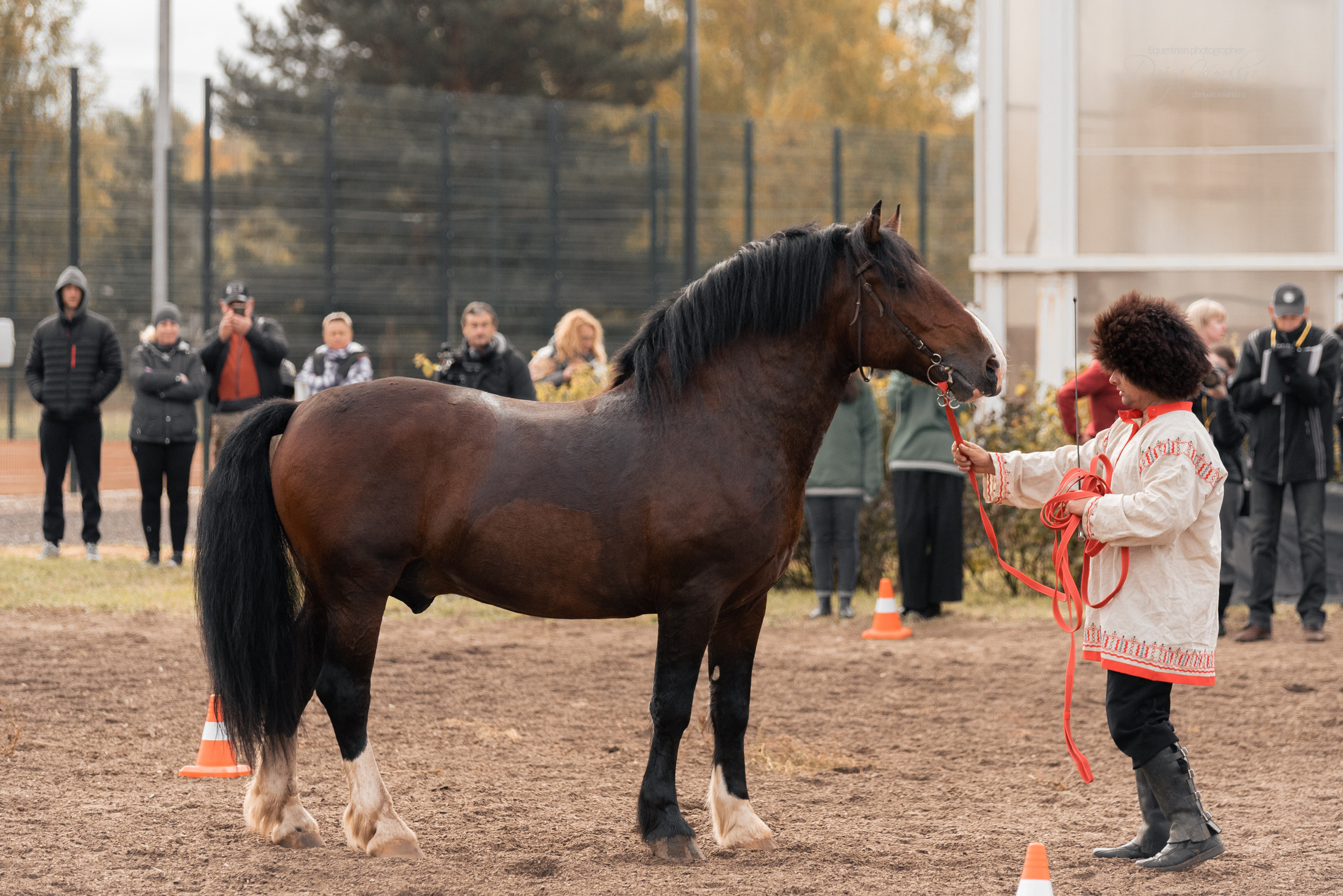 Богдарня. Конный фотограф Куракина Дарья • Фотосессии с лошадьми