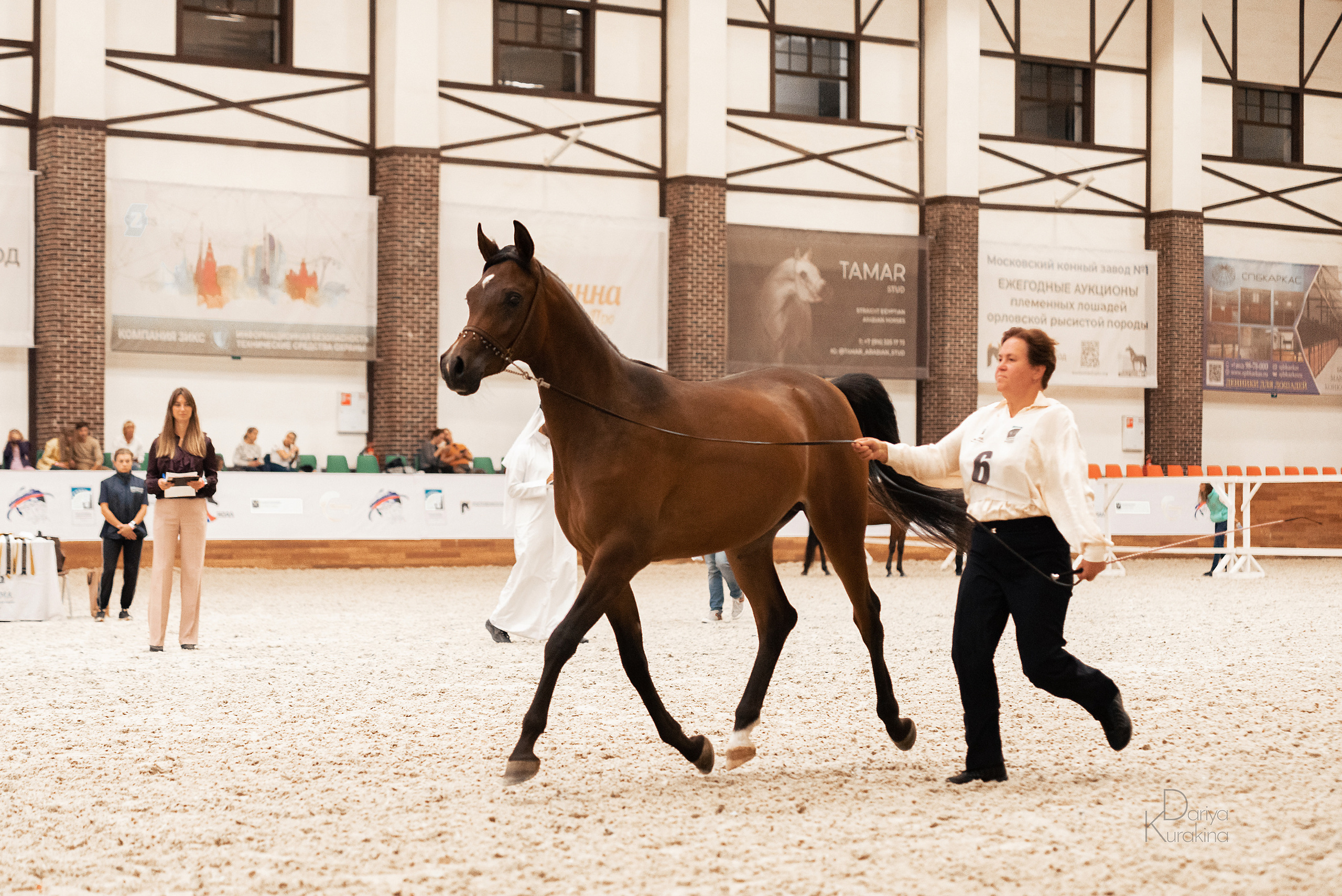Конная Россия 2021. Конный фотограф Куракина Дарья • Фотосессии с лошадьми