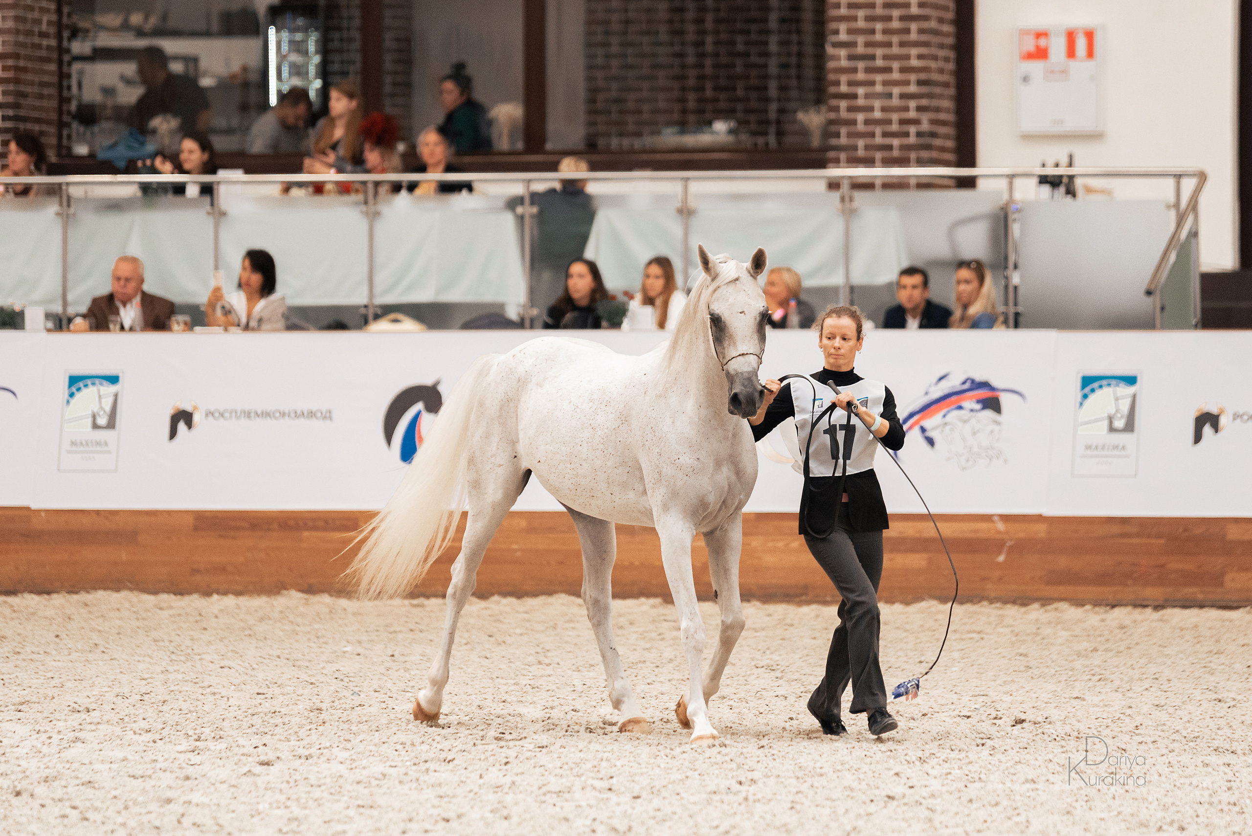 Конная Россия 2021. Конный фотограф Куракина Дарья • Фотосессии с лошадьми