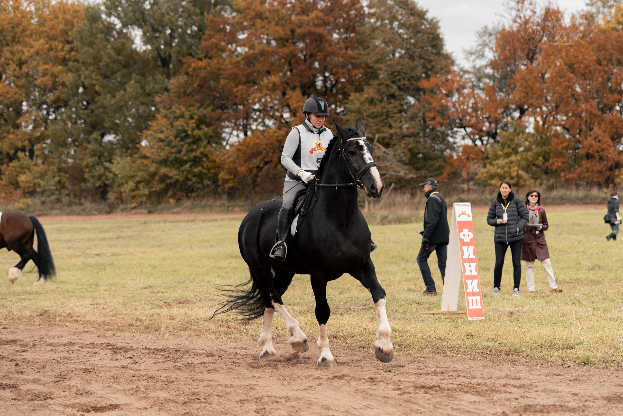 Богдарня. Конный фотограф Куракина Дарья • Фотосессии с лошадьми
