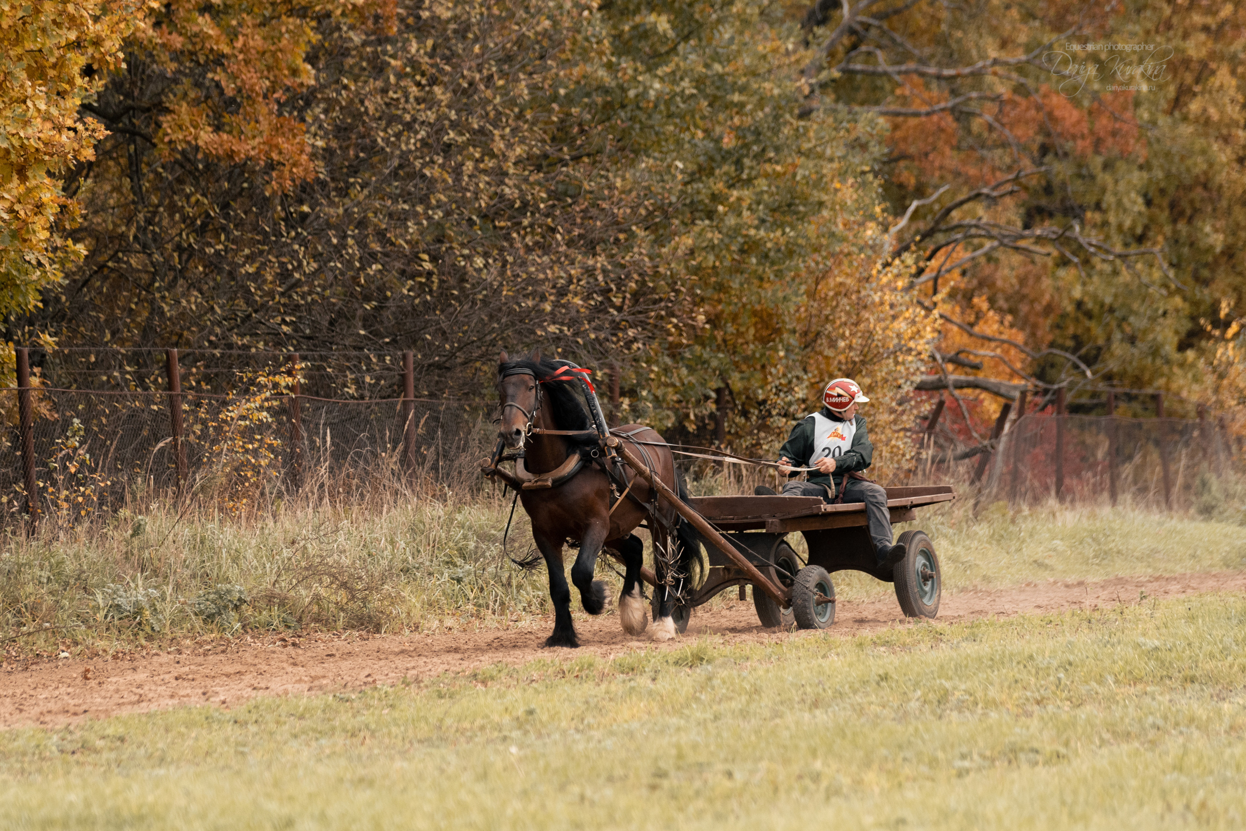 Богдарня. Конный фотограф Куракина Дарья • Фотосессии с лошадьми