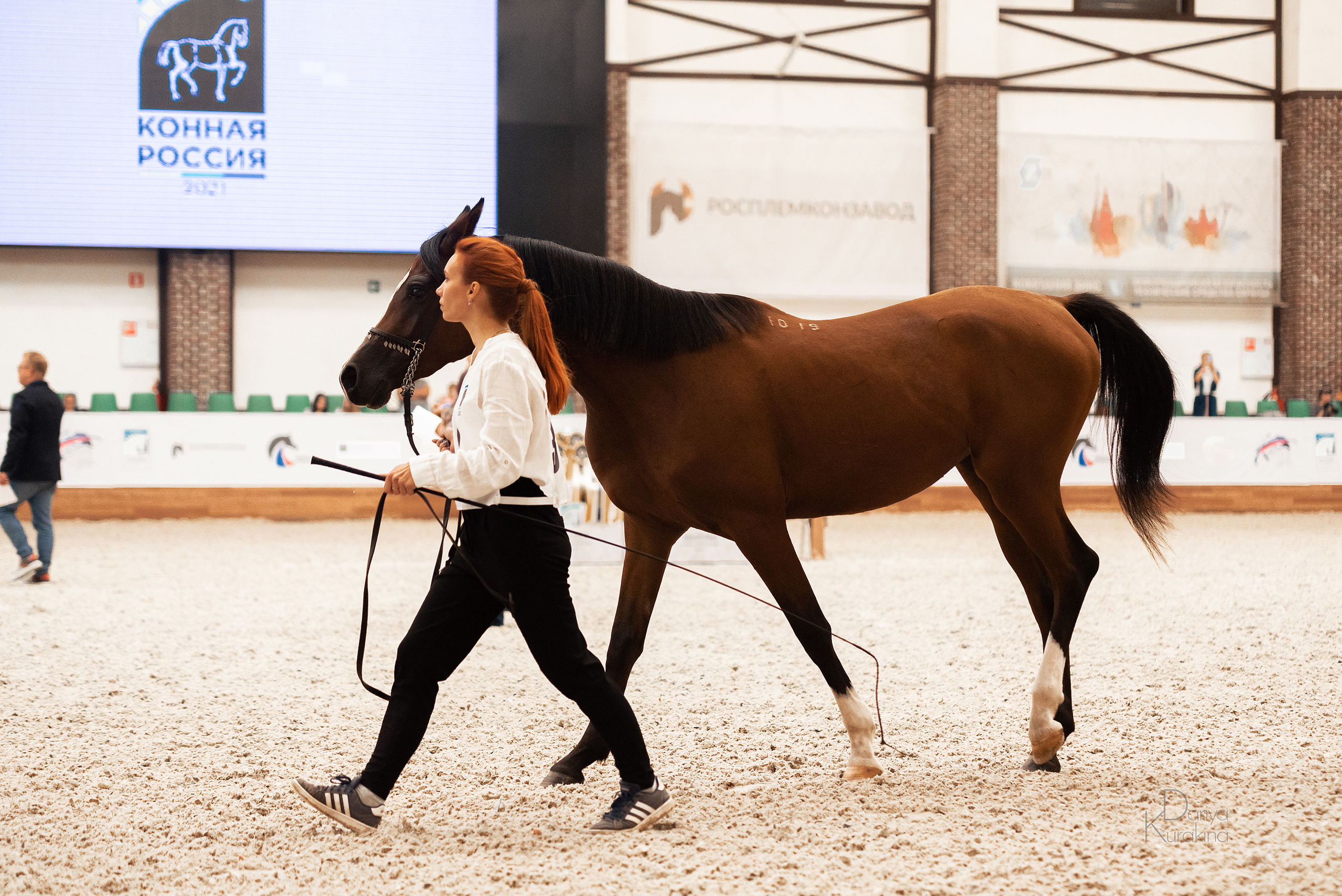 Конная Россия 2021. Конный фотограф Куракина Дарья • Фотосессии с лошадьми