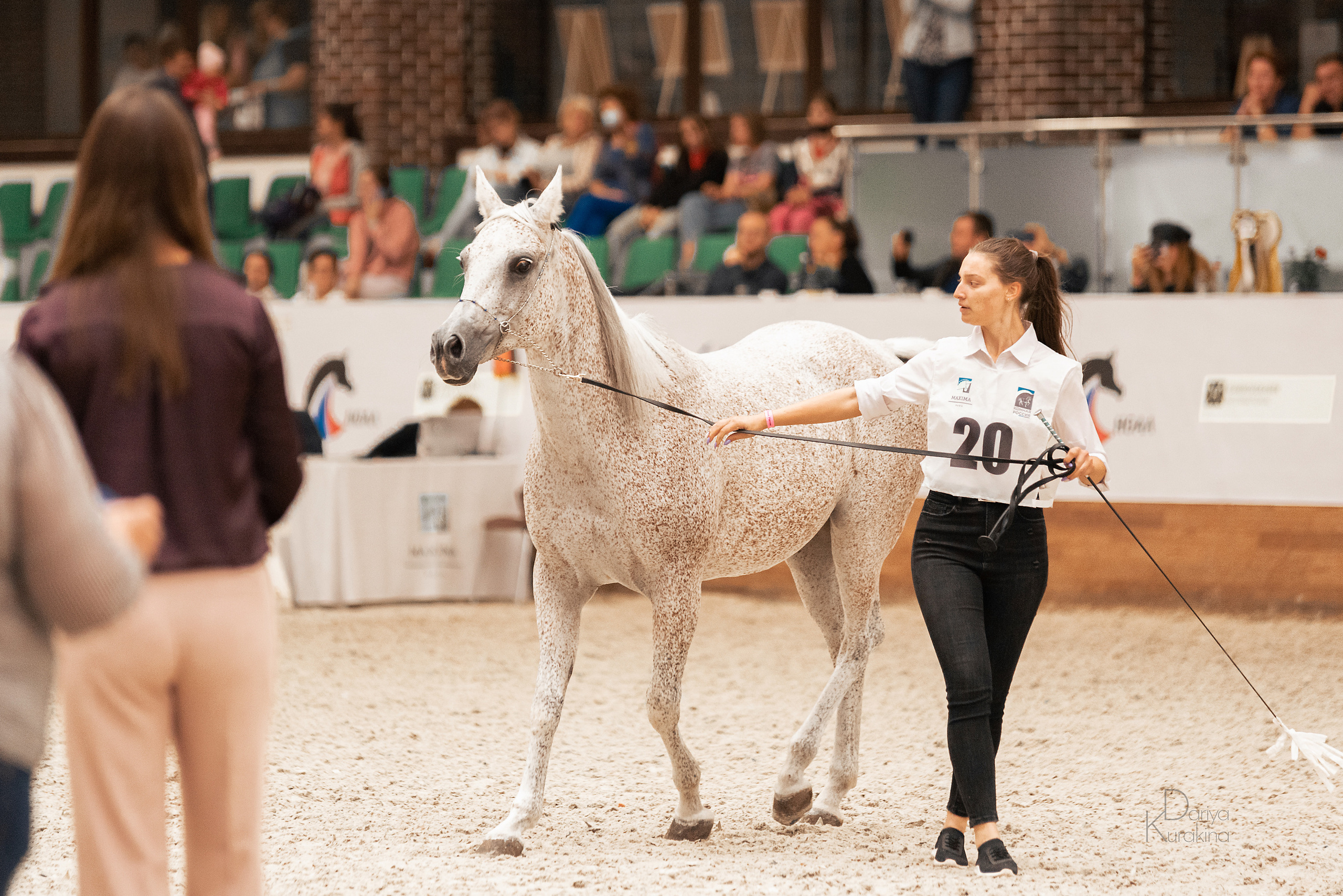 Конная Россия 2021. Конный фотограф Куракина Дарья • Фотосессии с лошадьми
