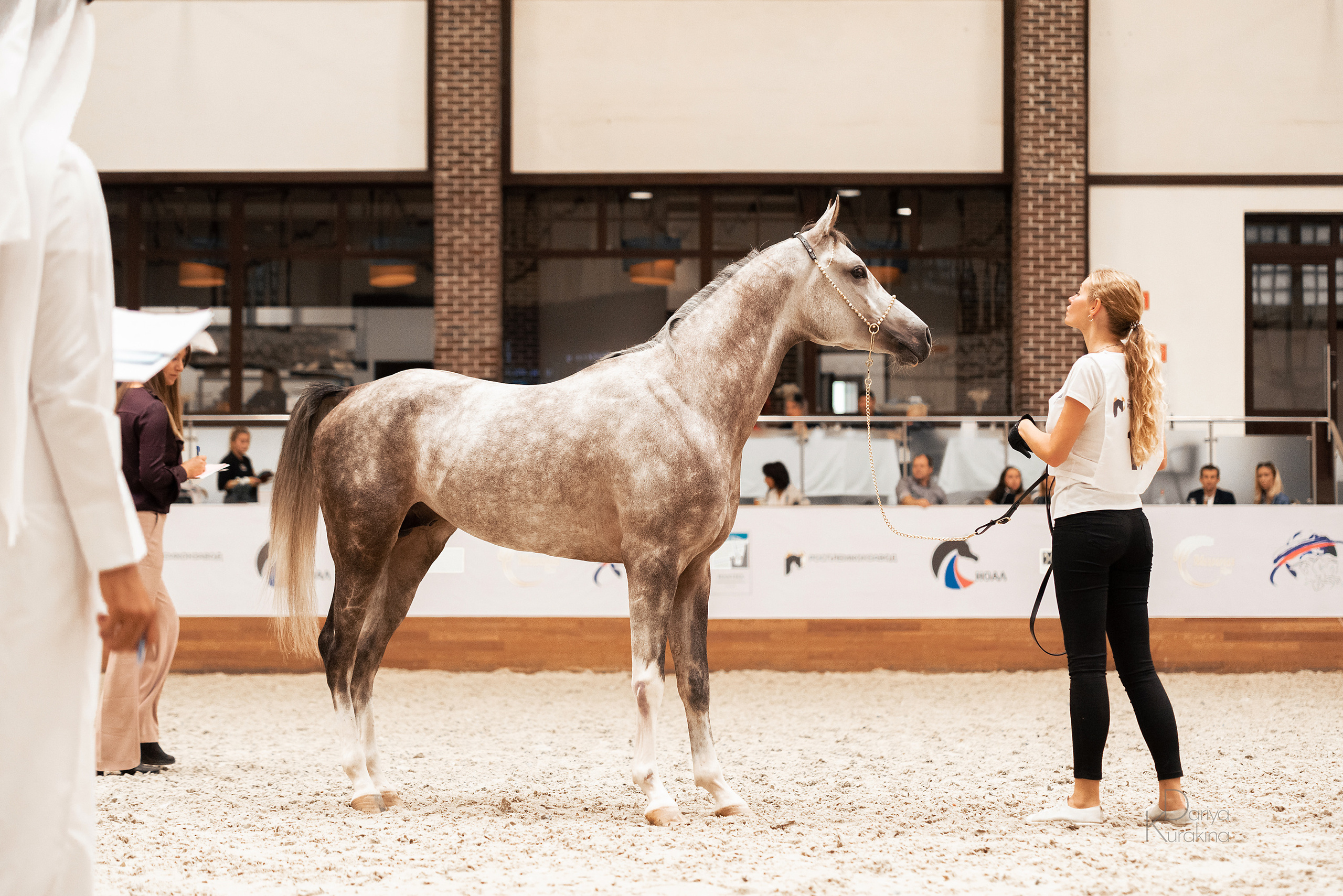 Конная Россия 2021. Конный фотограф Куракина Дарья • Фотосессии с лошадьми