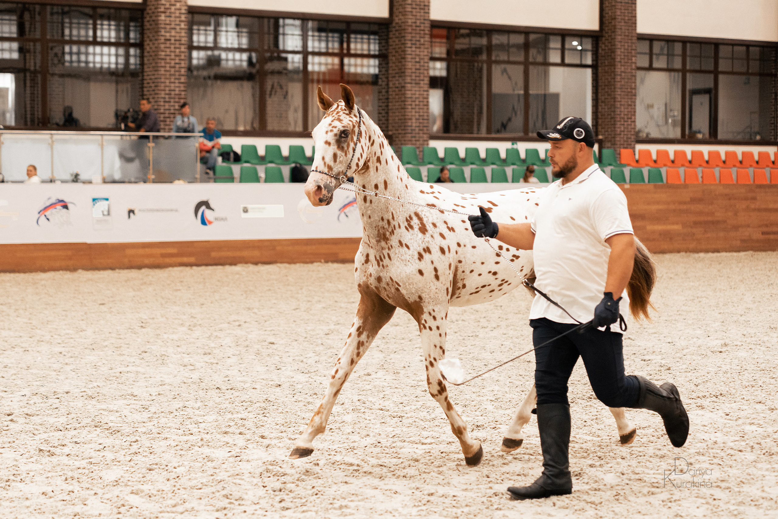 Конная Россия 2021. Конный фотограф Куракина Дарья • Фотосессии с лошадьми