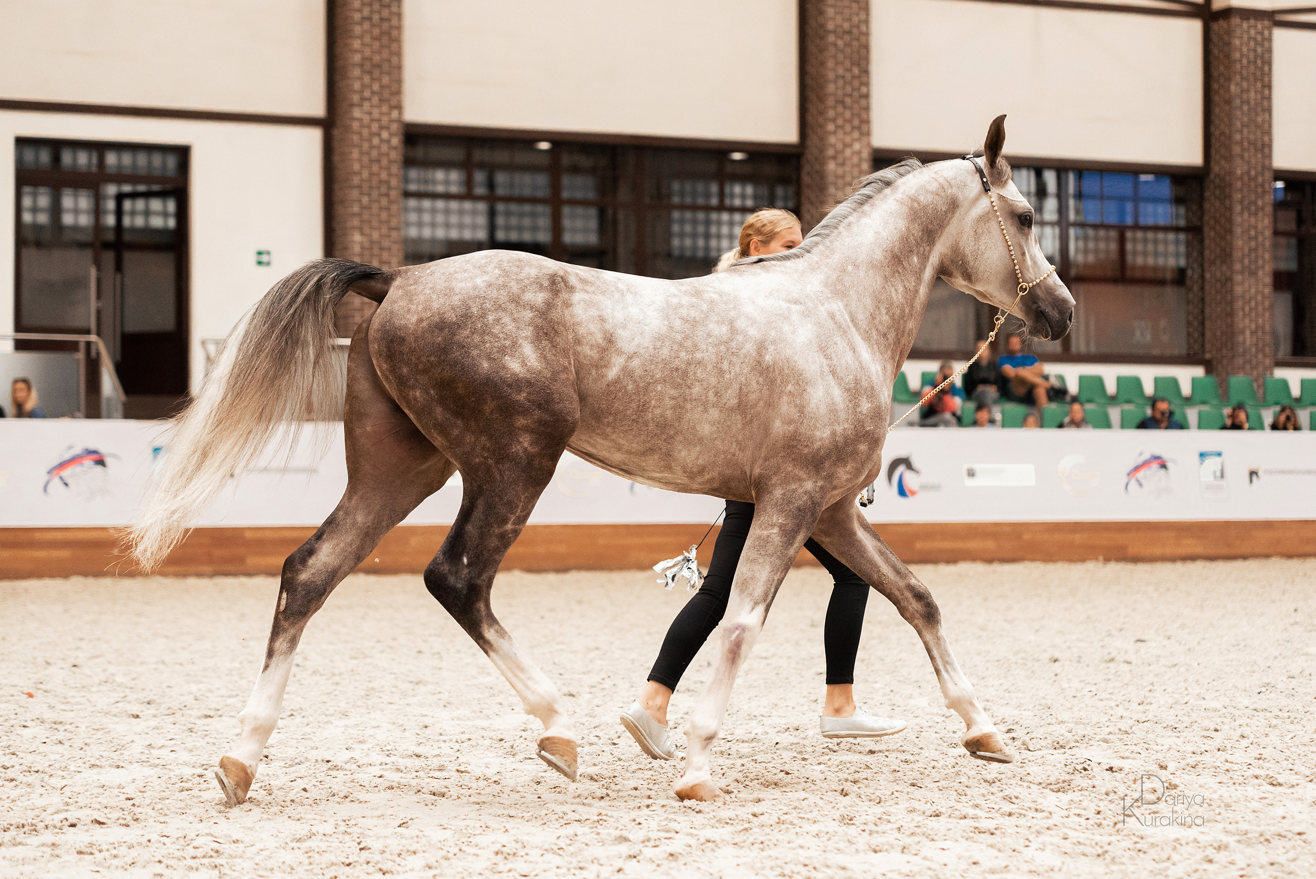 Конная Россия 2021. Конный фотограф Куракина Дарья • Фотосессии с лошадьми
