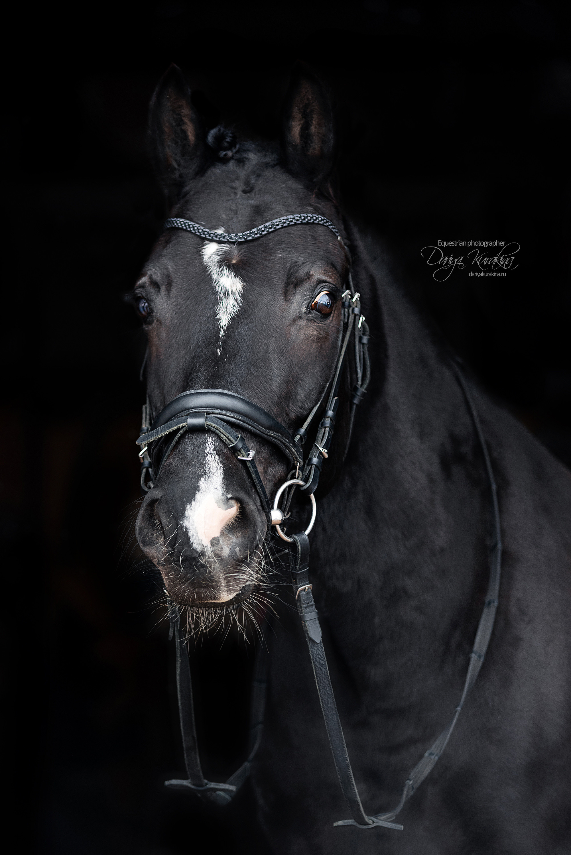 Аня, Полина и Джей Z. Конный фотограф Куракина Дарья • Фотосессии с лошадьми
