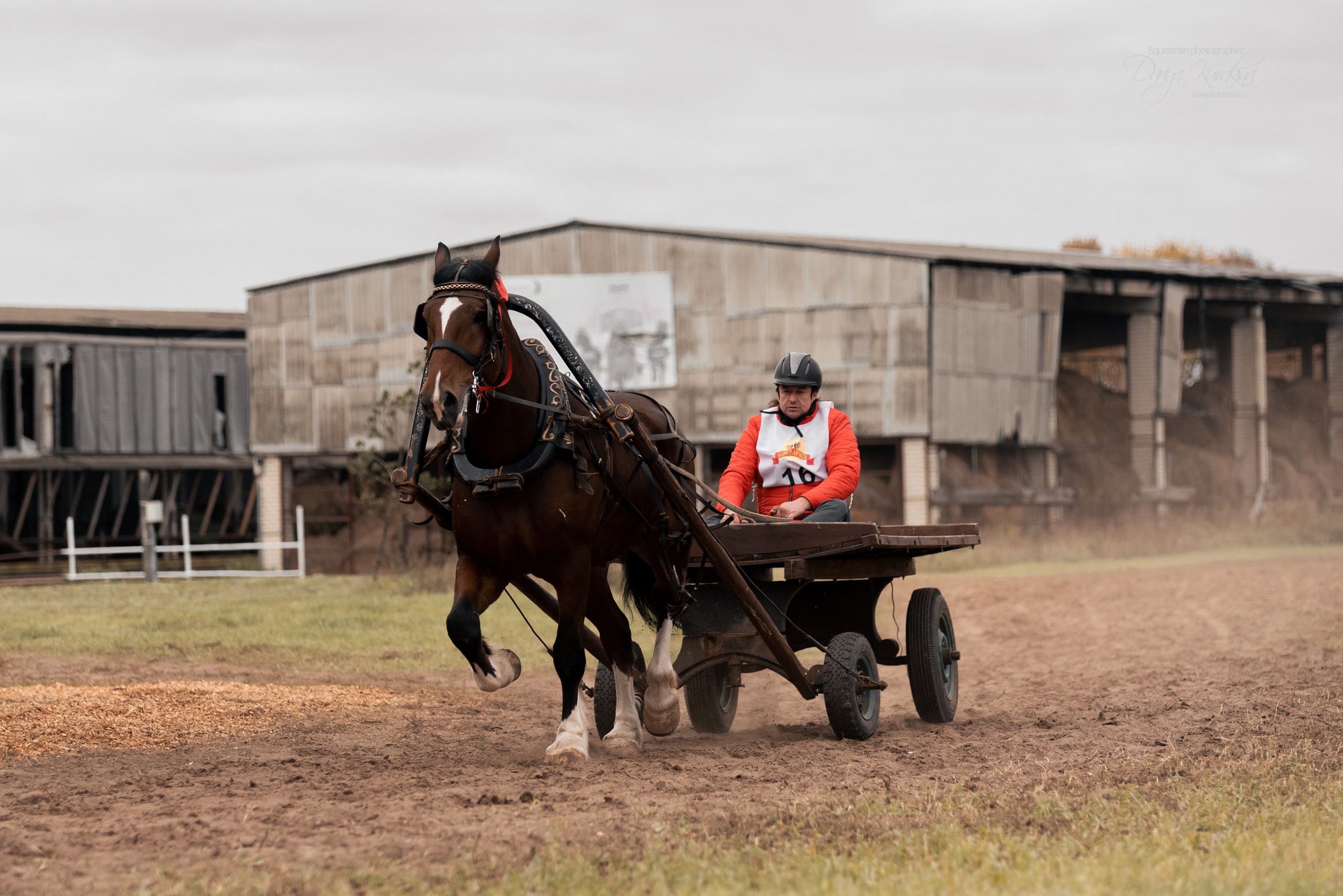 Богдарня. Конный фотограф Куракина Дарья • Фотосессии с лошадьми
