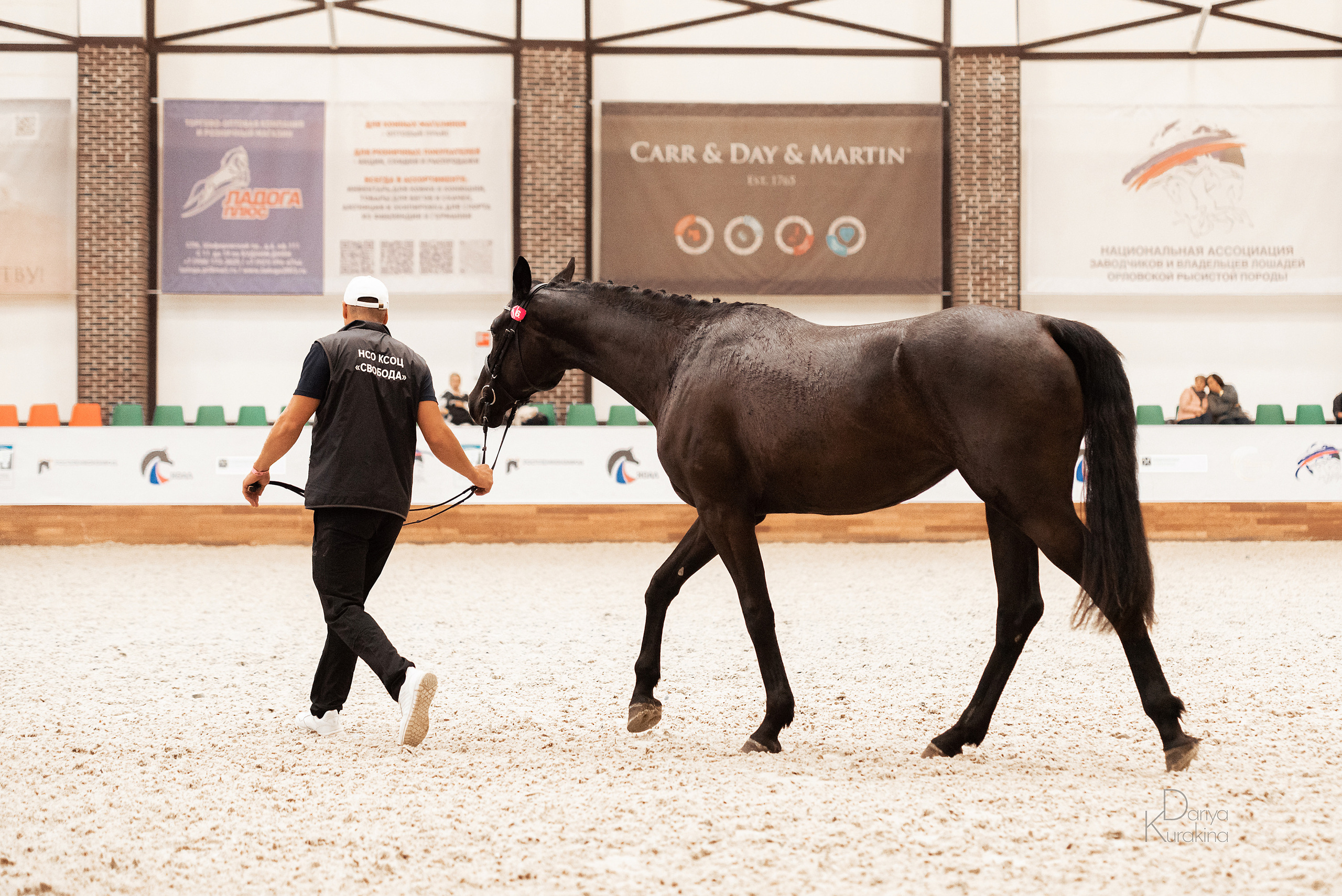 Конная Россия 2021. Конный фотограф Куракина Дарья • Фотосессии с лошадьми
