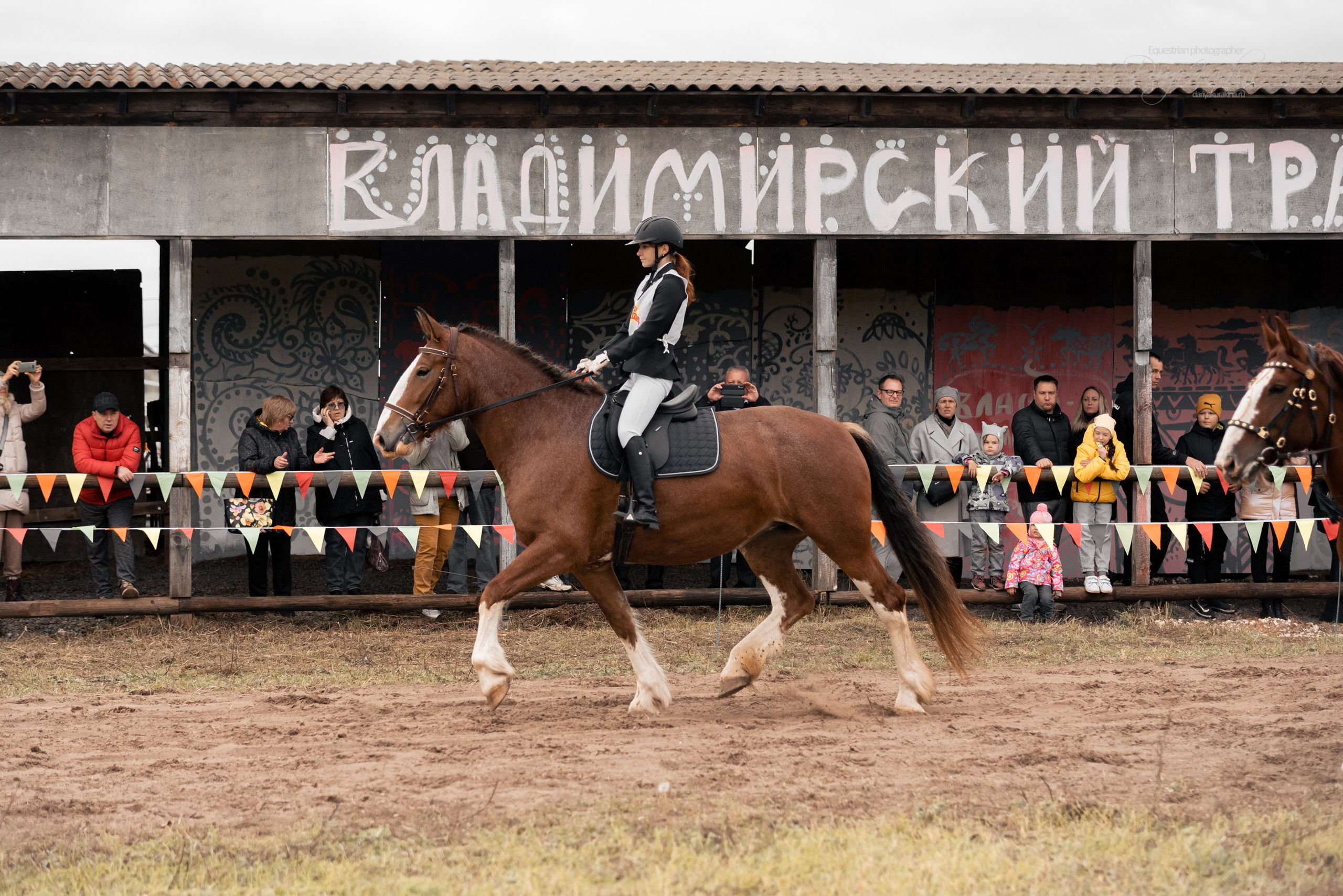 Богдарня. Конный фотограф Куракина Дарья • Фотосессии с лошадьми