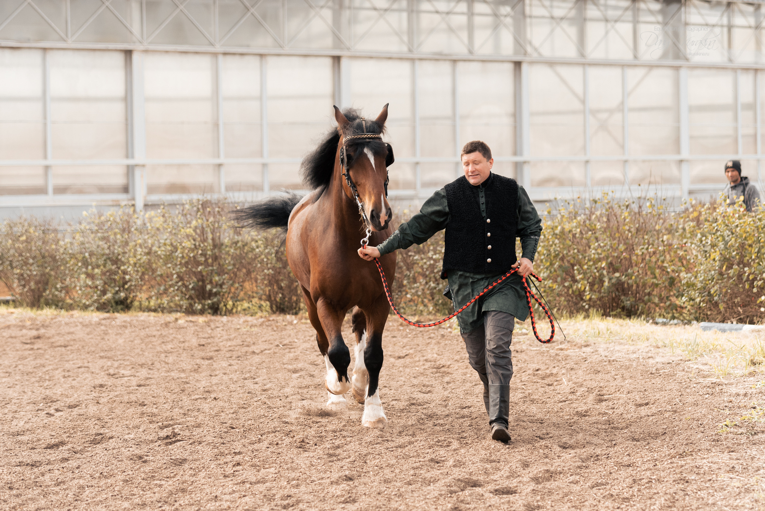 Богдарня. Конный фотограф Куракина Дарья • Фотосессии с лошадьми