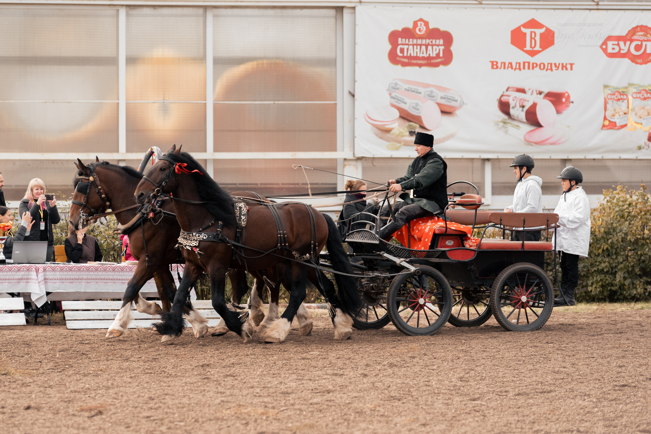 Богдарня. Конный фотограф Куракина Дарья • Фотосессии с лошадьми