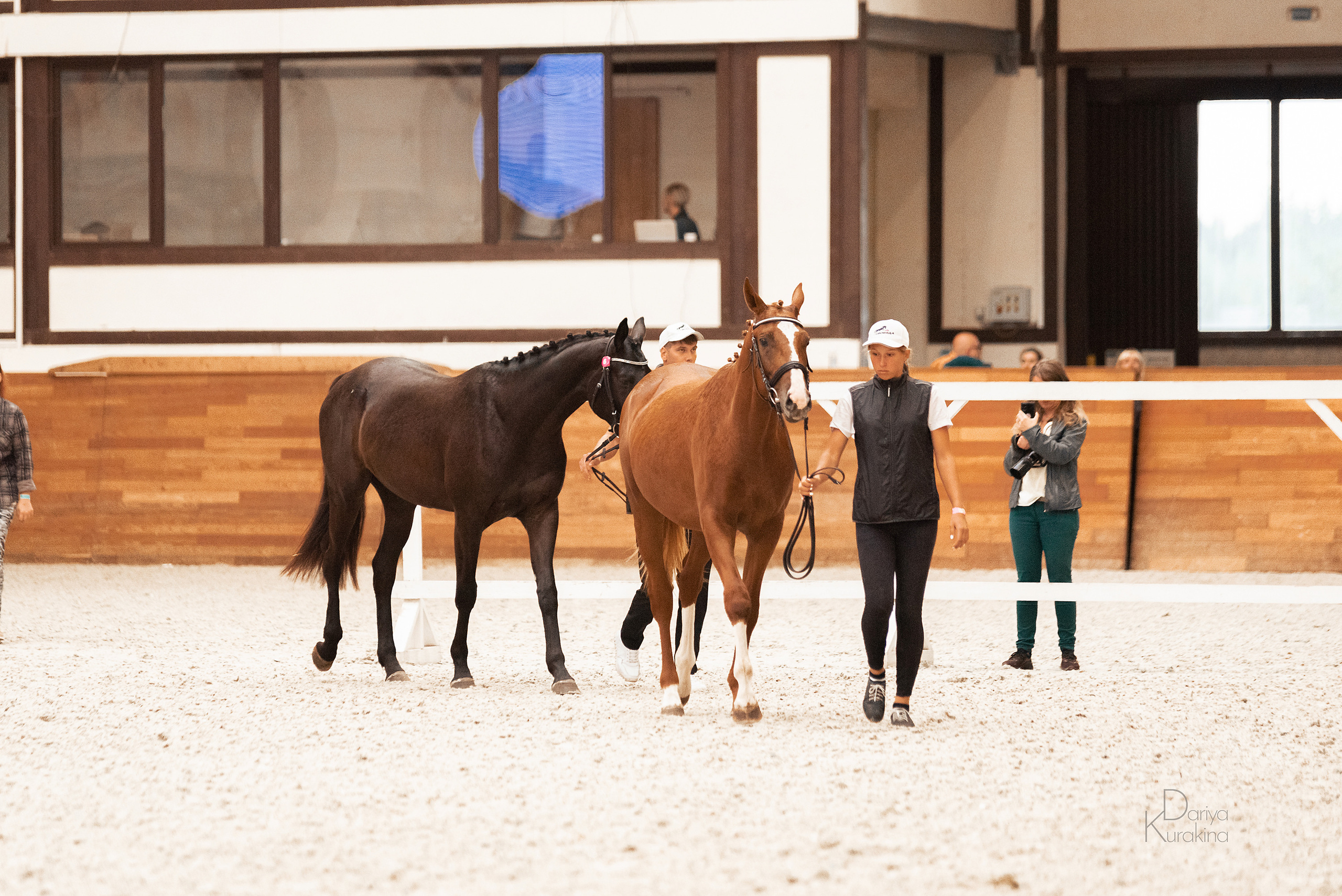 Конная Россия 2021. Конный фотограф Куракина Дарья • Фотосессии с лошадьми