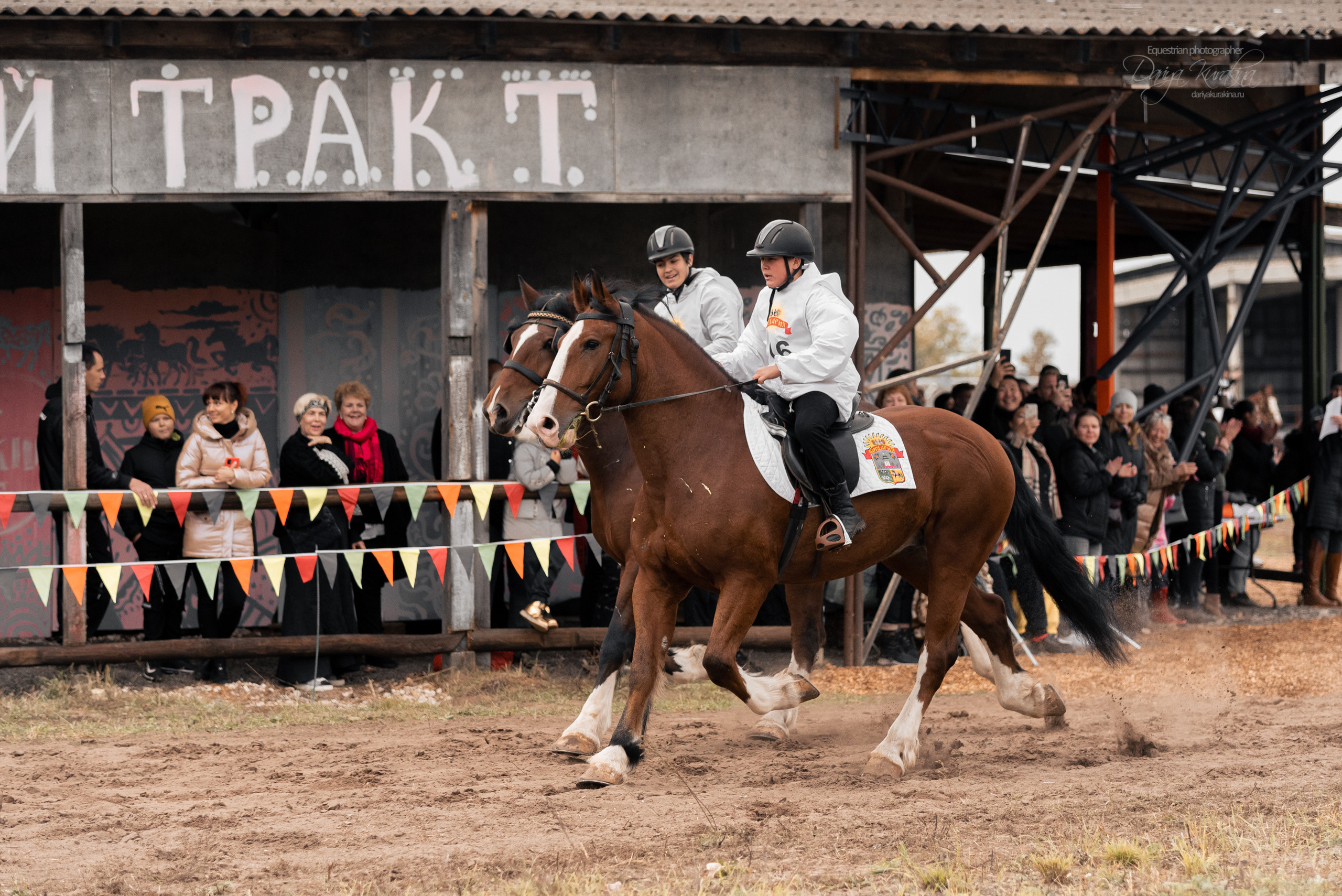 Богдарня. Конный фотограф Куракина Дарья • Фотосессии с лошадьми