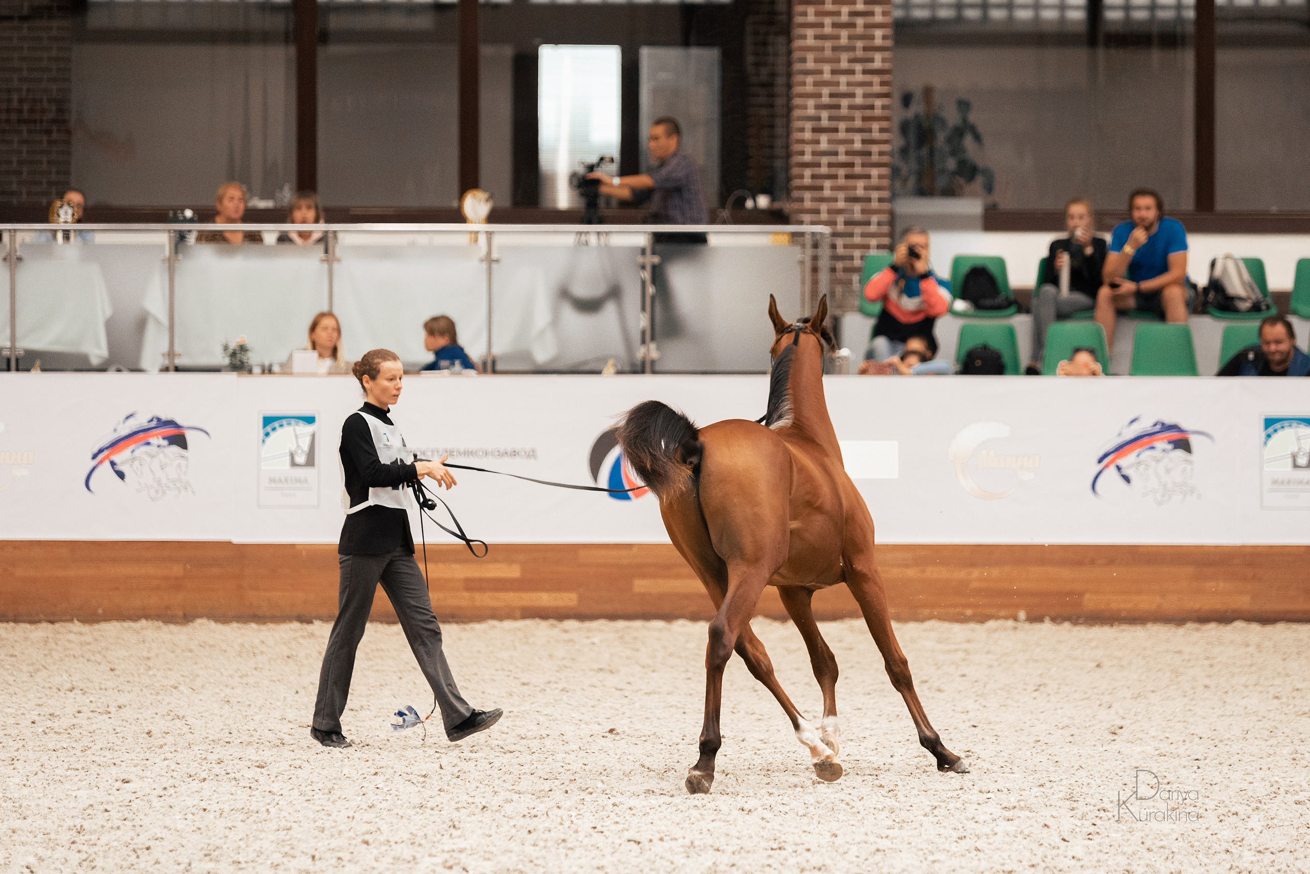 Конная Россия 2021. Конный фотограф Куракина Дарья • Фотосессии с лошадьми
