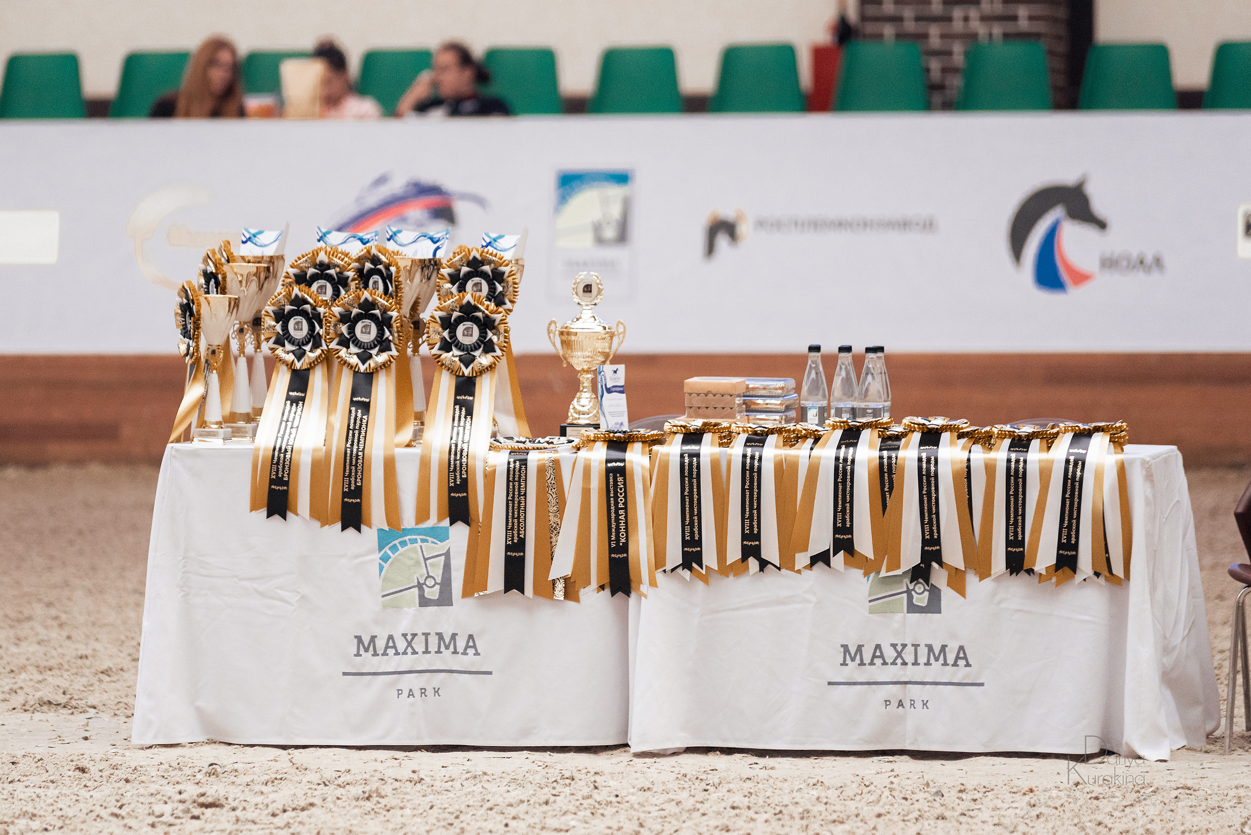 Конная Россия 2021. Конный фотограф Куракина Дарья • Фотосессии с лошадьми