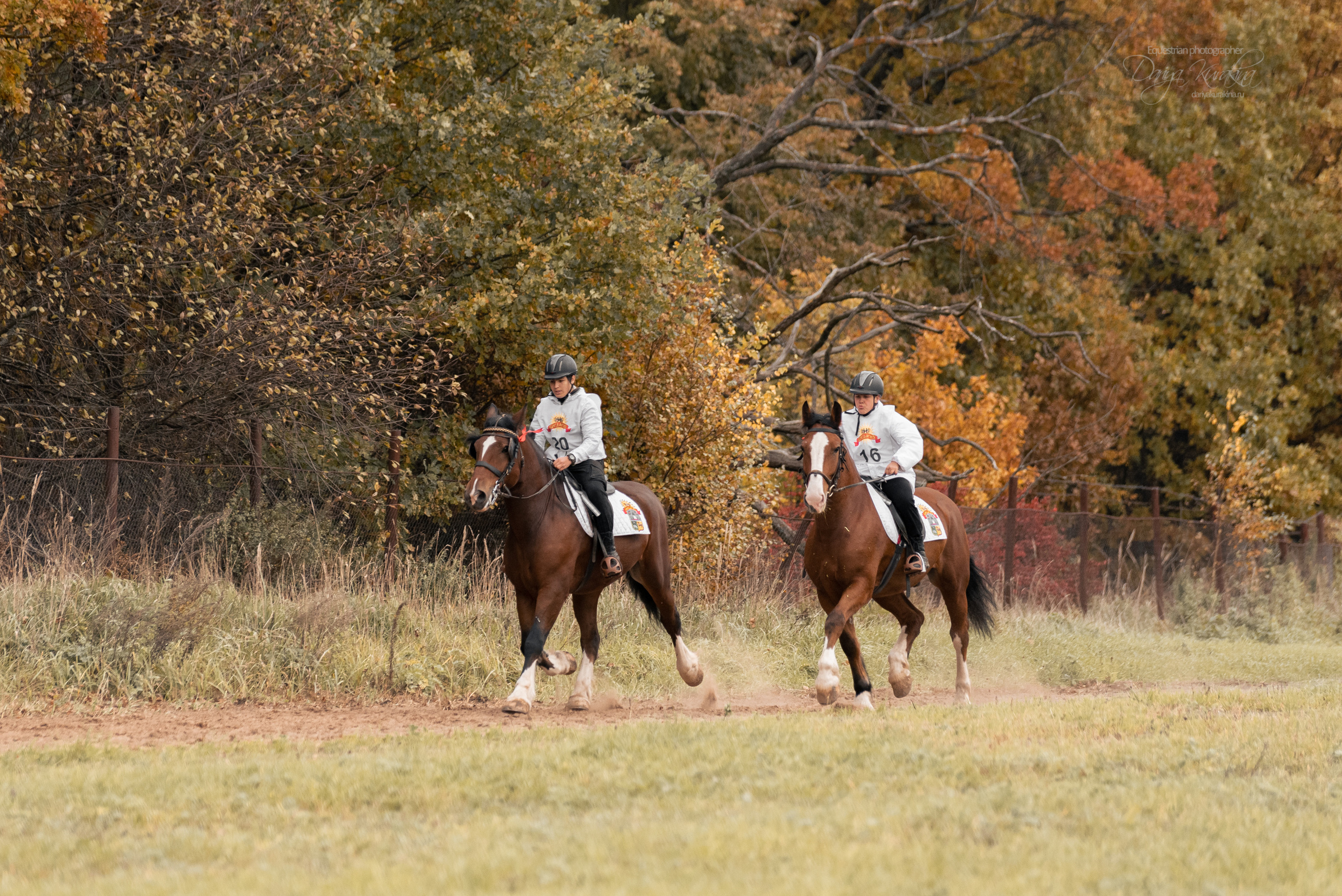 Богдарня. Конный фотограф Куракина Дарья • Фотосессии с лошадьми
