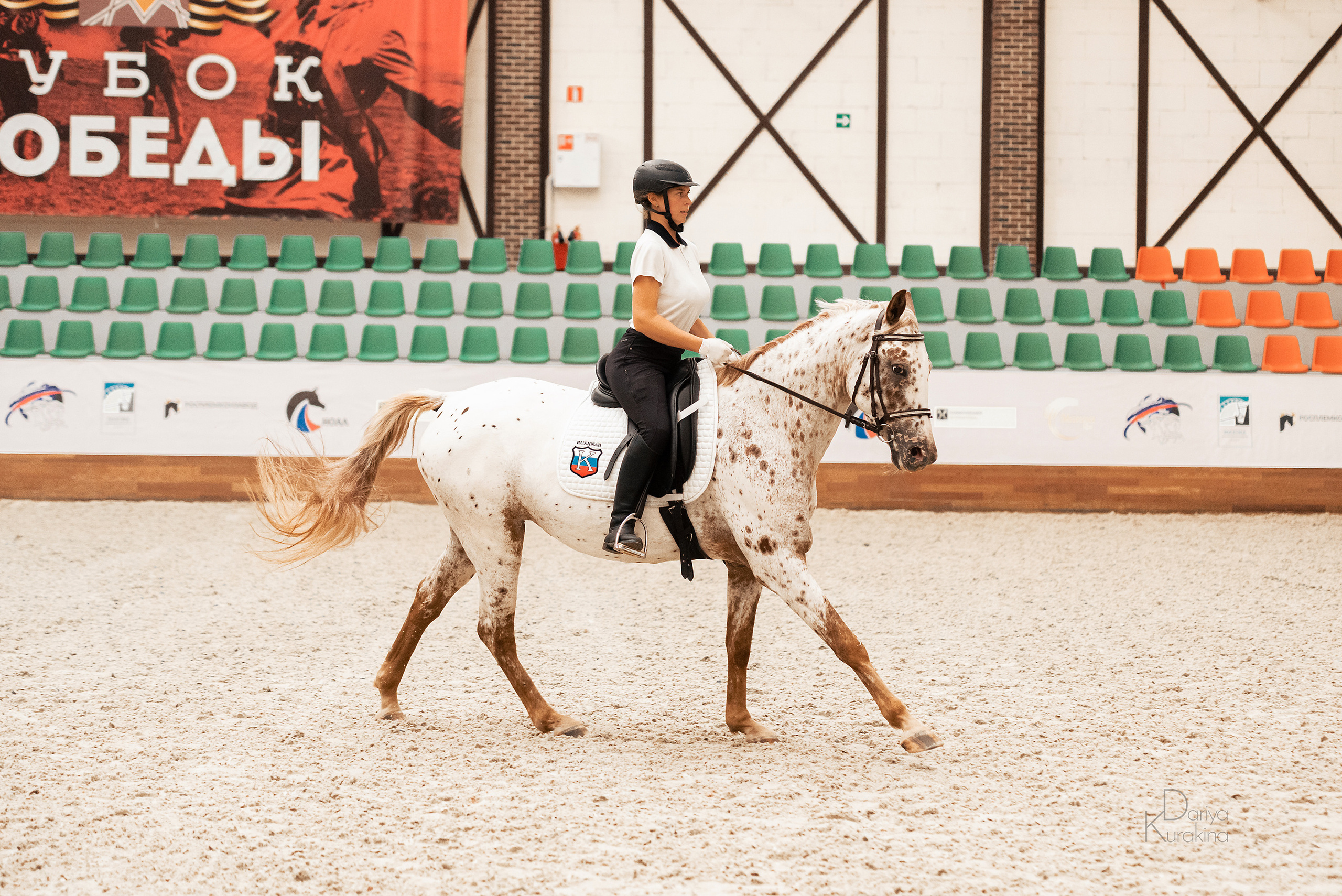 Конная Россия 2021. Конный фотограф Куракина Дарья • Фотосессии с лошадьми