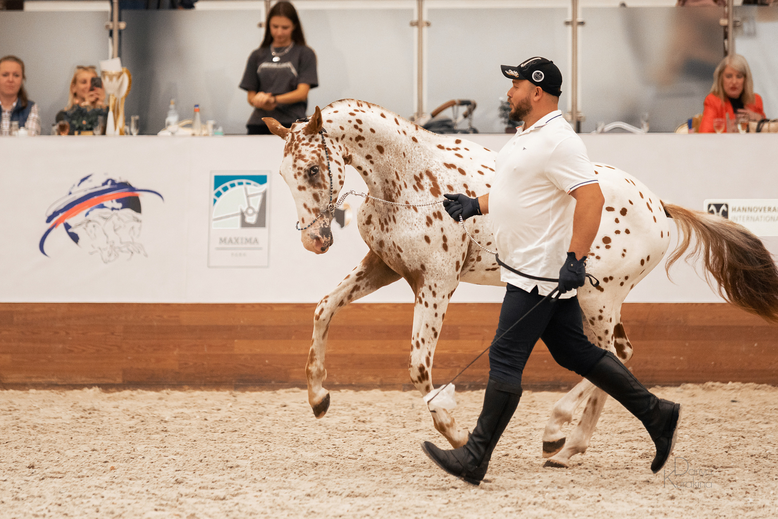 Конная Россия 2021. Конный фотограф Куракина Дарья • Фотосессии с лошадьми