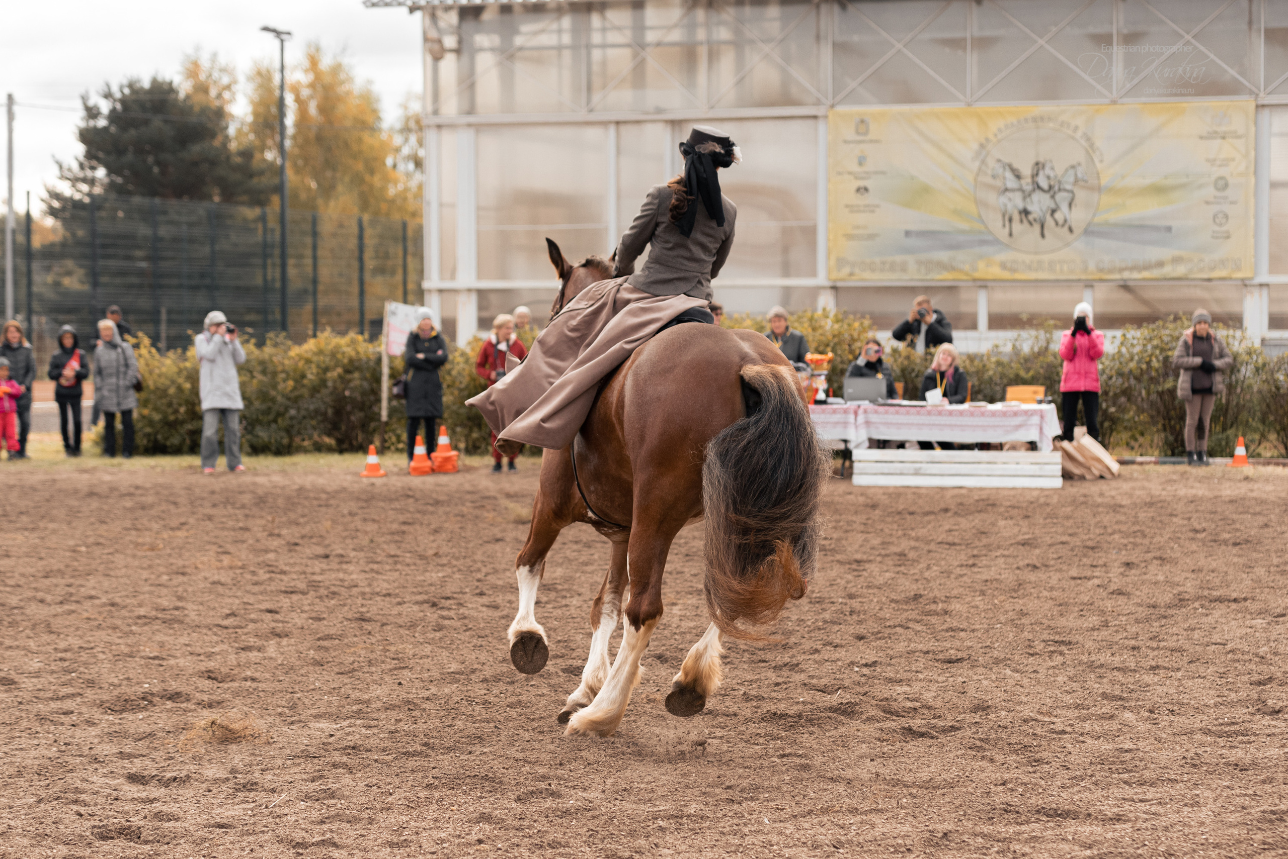 Богдарня. Конный фотограф Куракина Дарья • Фотосессии с лошадьми