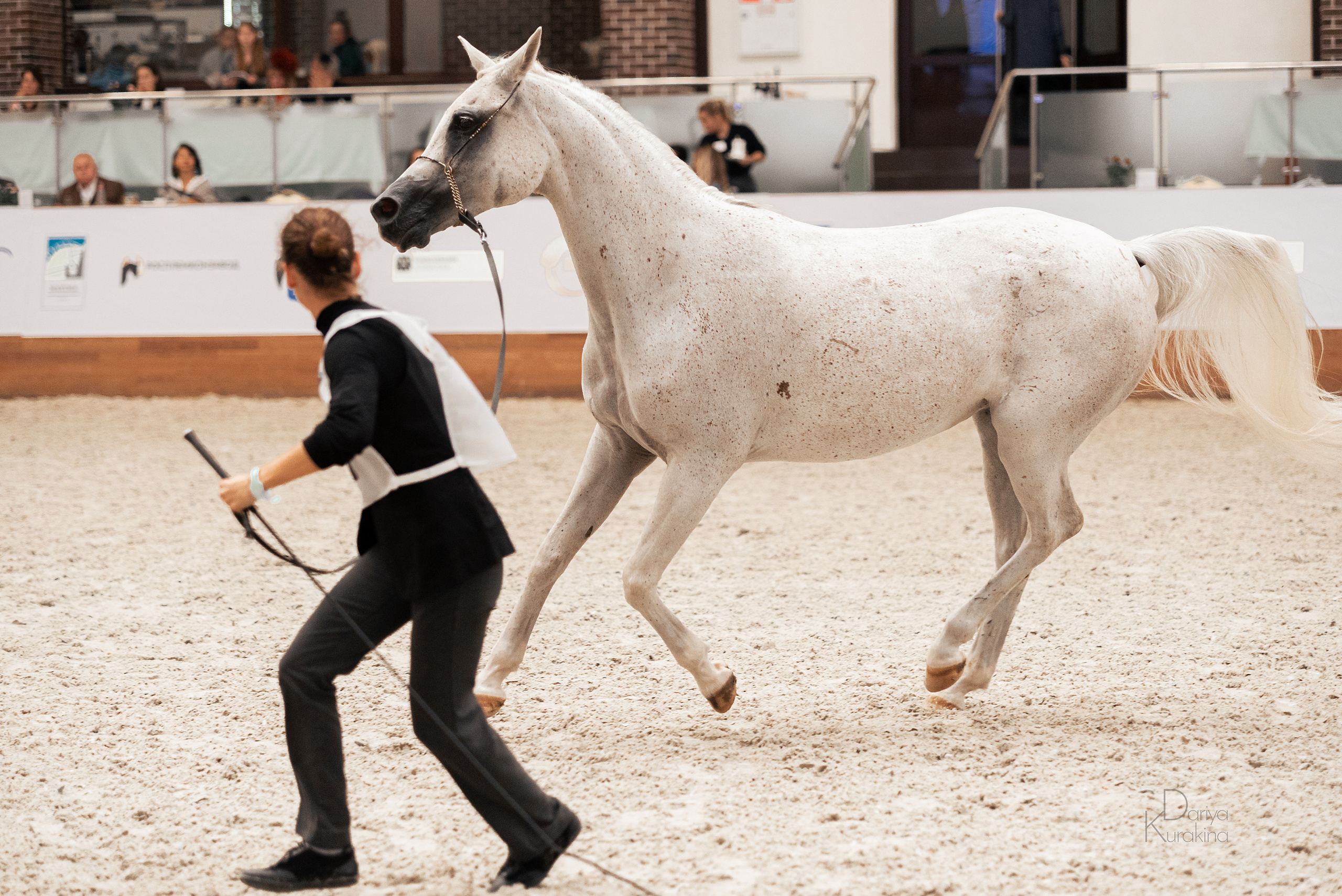 Конная Россия 2021. Конный фотограф Куракина Дарья • Фотосессии с лошадьми