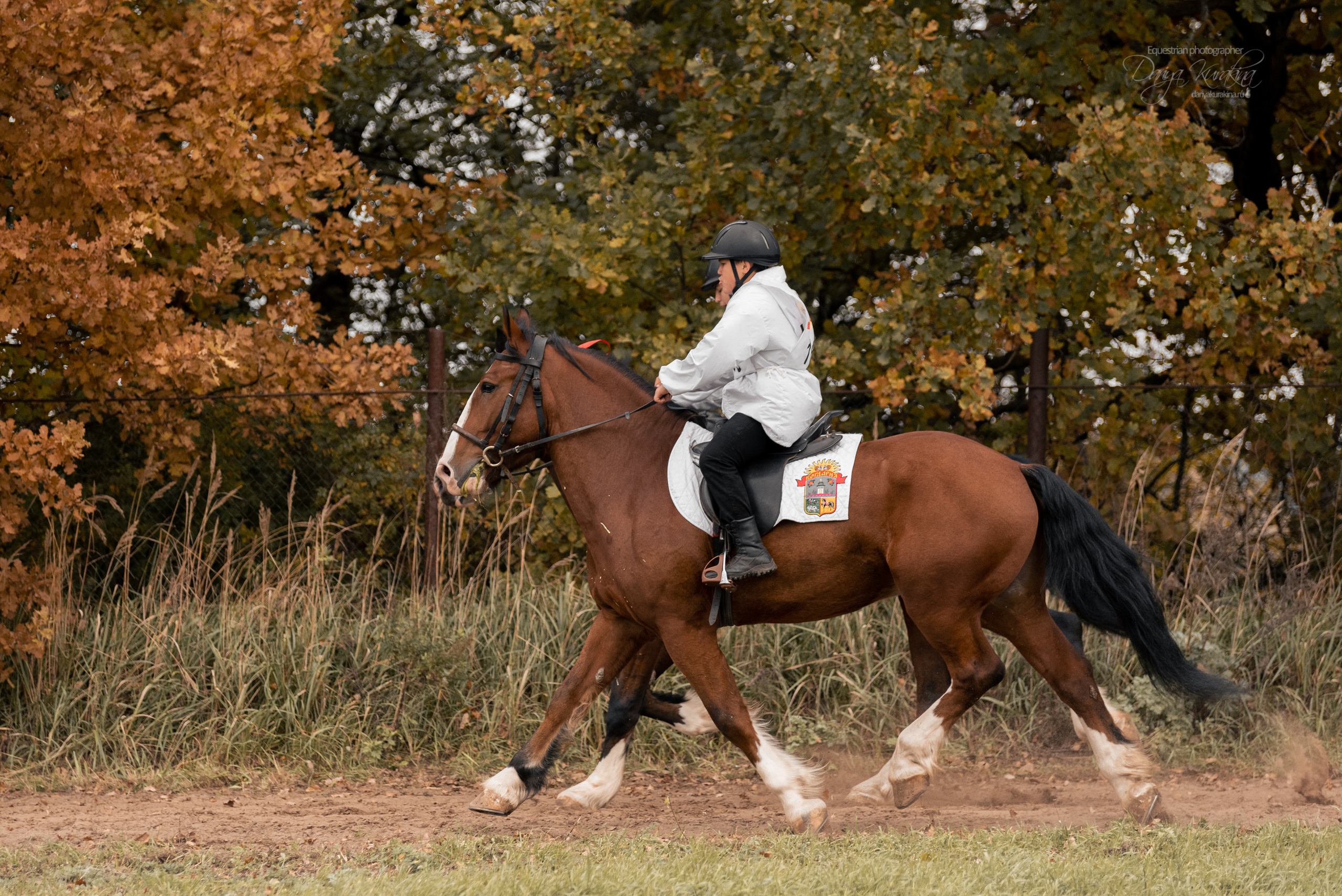 Богдарня. Конный фотограф Куракина Дарья • Фотосессии с лошадьми