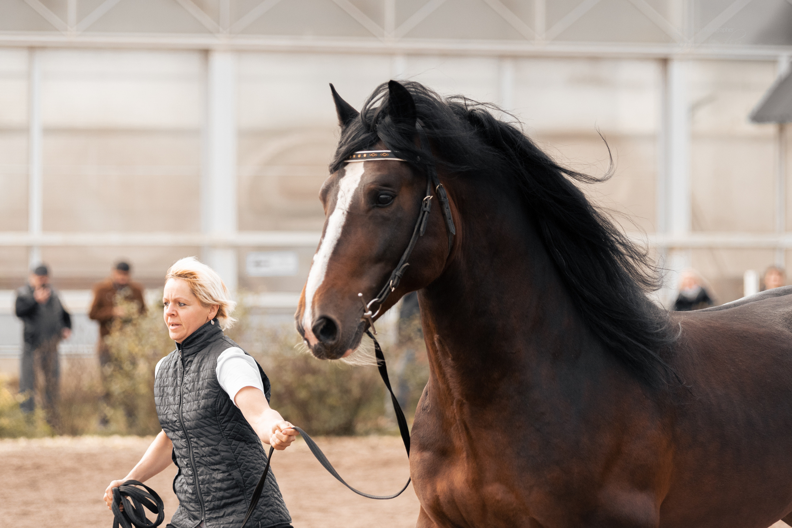 Богдарня. Конный фотограф Куракина Дарья • Фотосессии с лошадьми