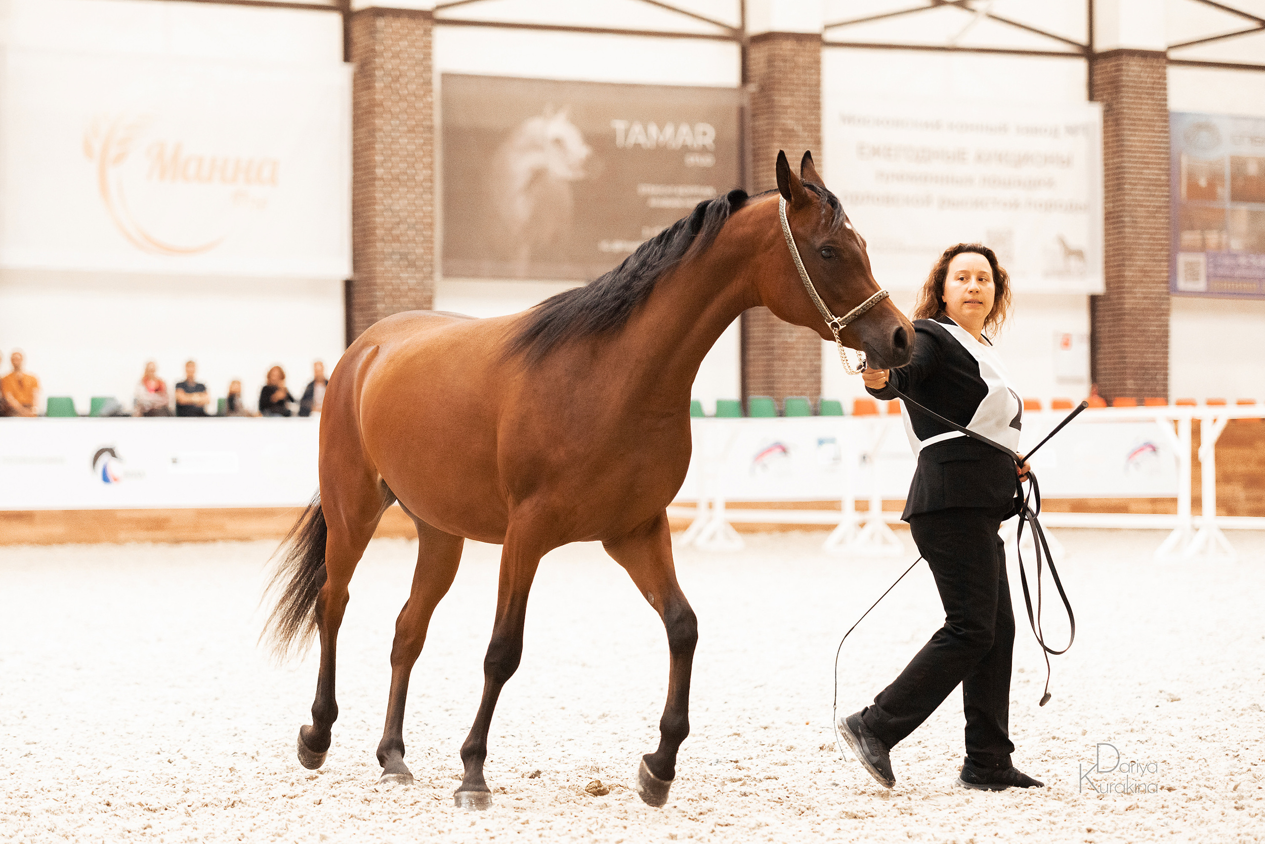 Конная Россия 2021. Конный фотограф Куракина Дарья • Фотосессии с лошадьми
