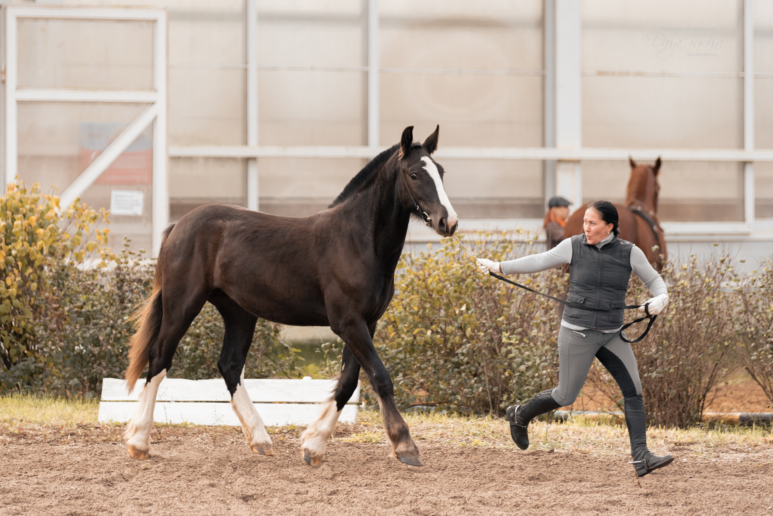 Богдарня. Конный фотограф Куракина Дарья • Фотосессии с лошадьми