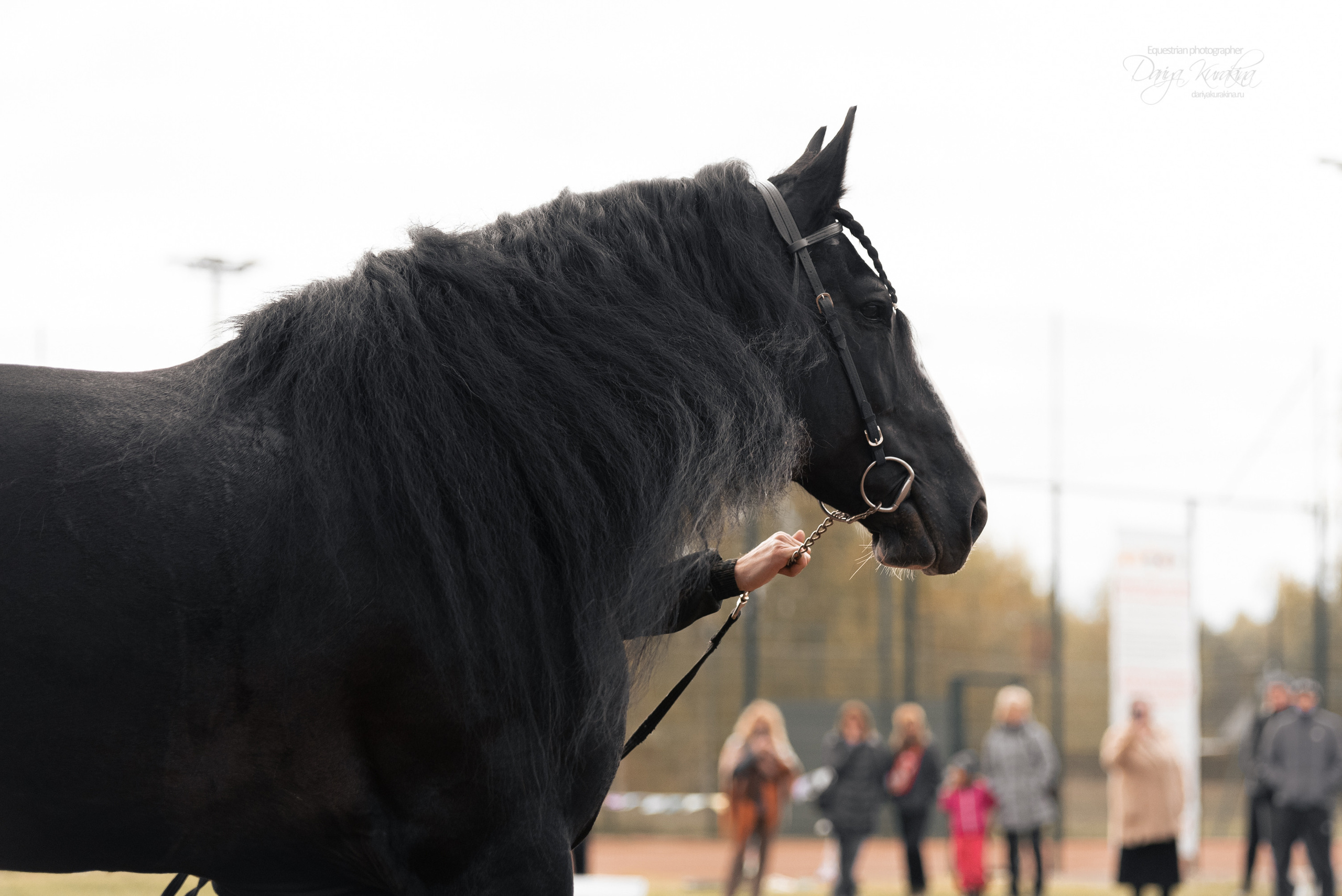 Богдарня. Конный фотограф Куракина Дарья • Фотосессии с лошадьми