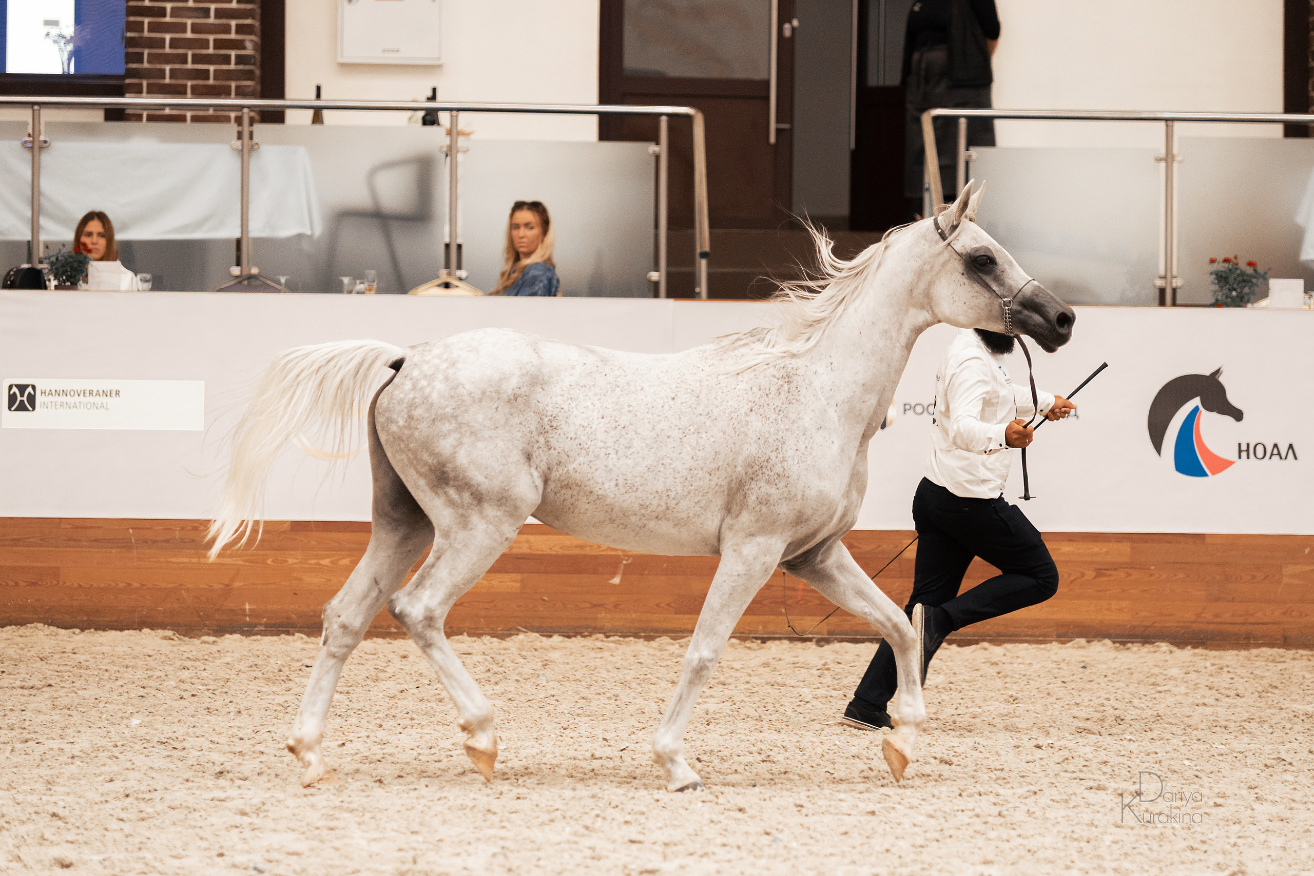 Конная Россия 2021. Конный фотограф Куракина Дарья • Фотосессии с лошадьми