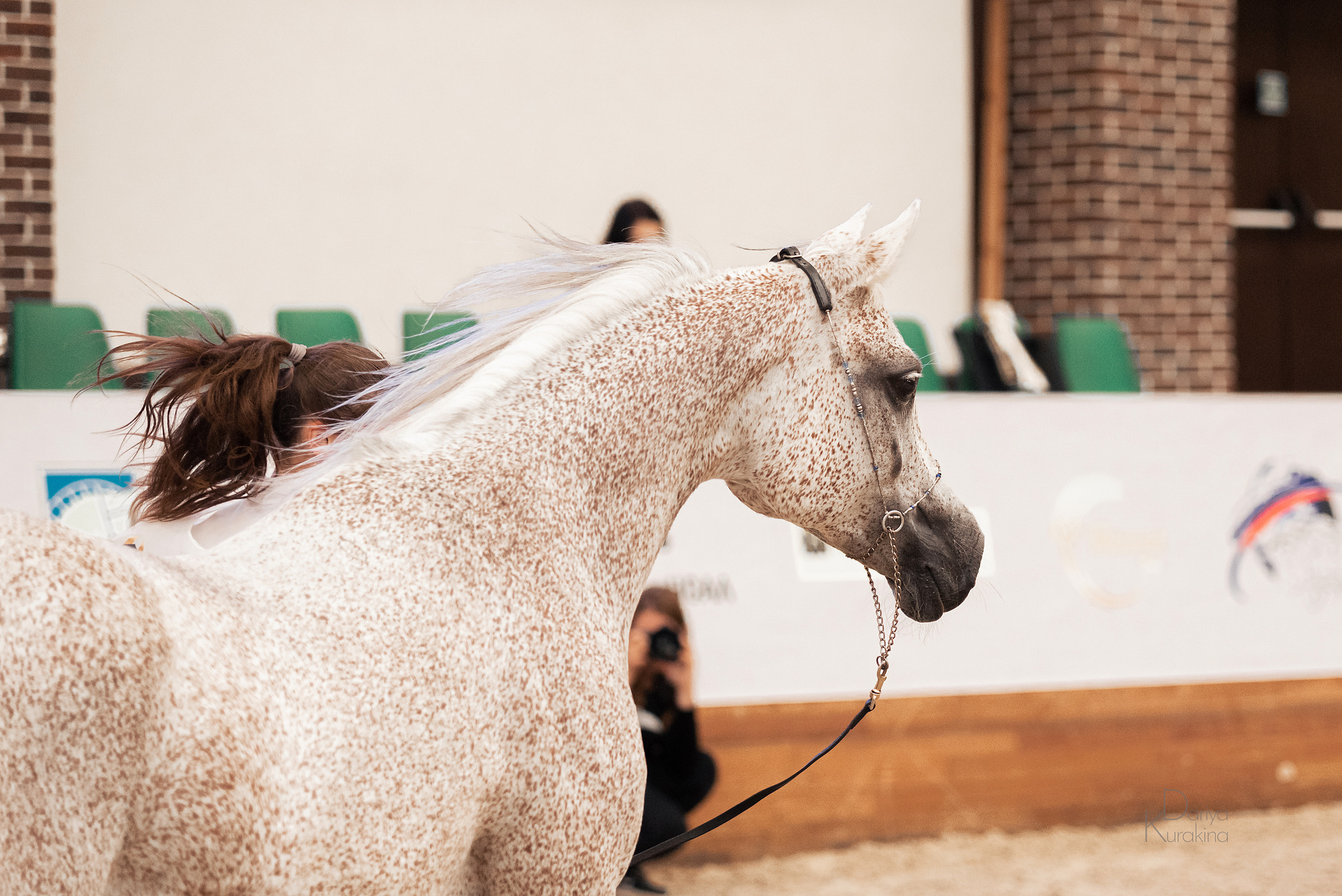 Конная Россия 2021. Конный фотограф Куракина Дарья • Фотосессии с лошадьми