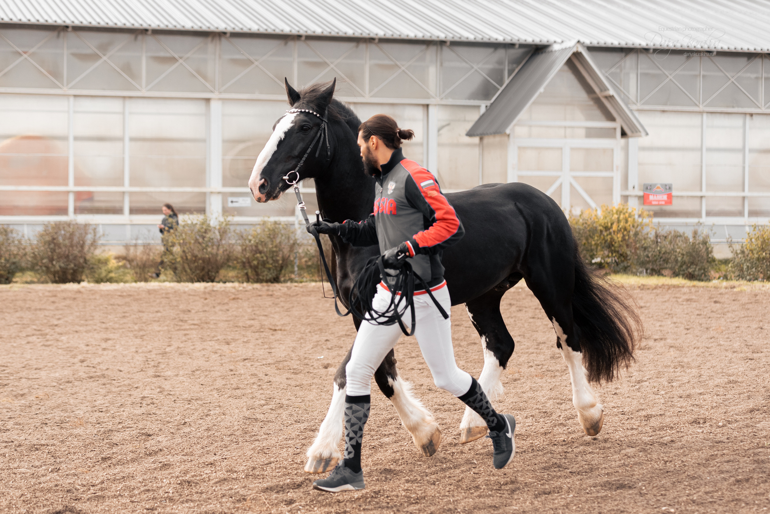 Богдарня. Конный фотограф Куракина Дарья • Фотосессии с лошадьми