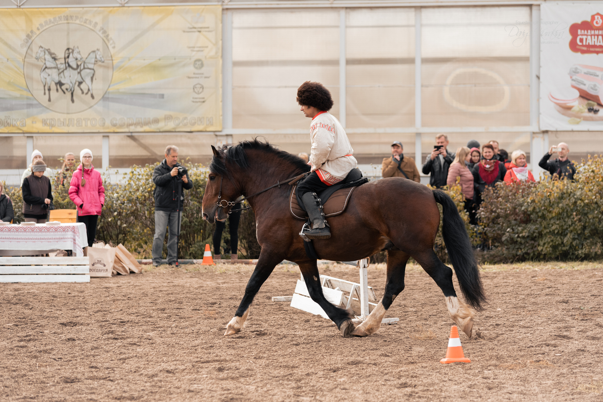 Богдарня. Конный фотограф Куракина Дарья • Фотосессии с лошадьми