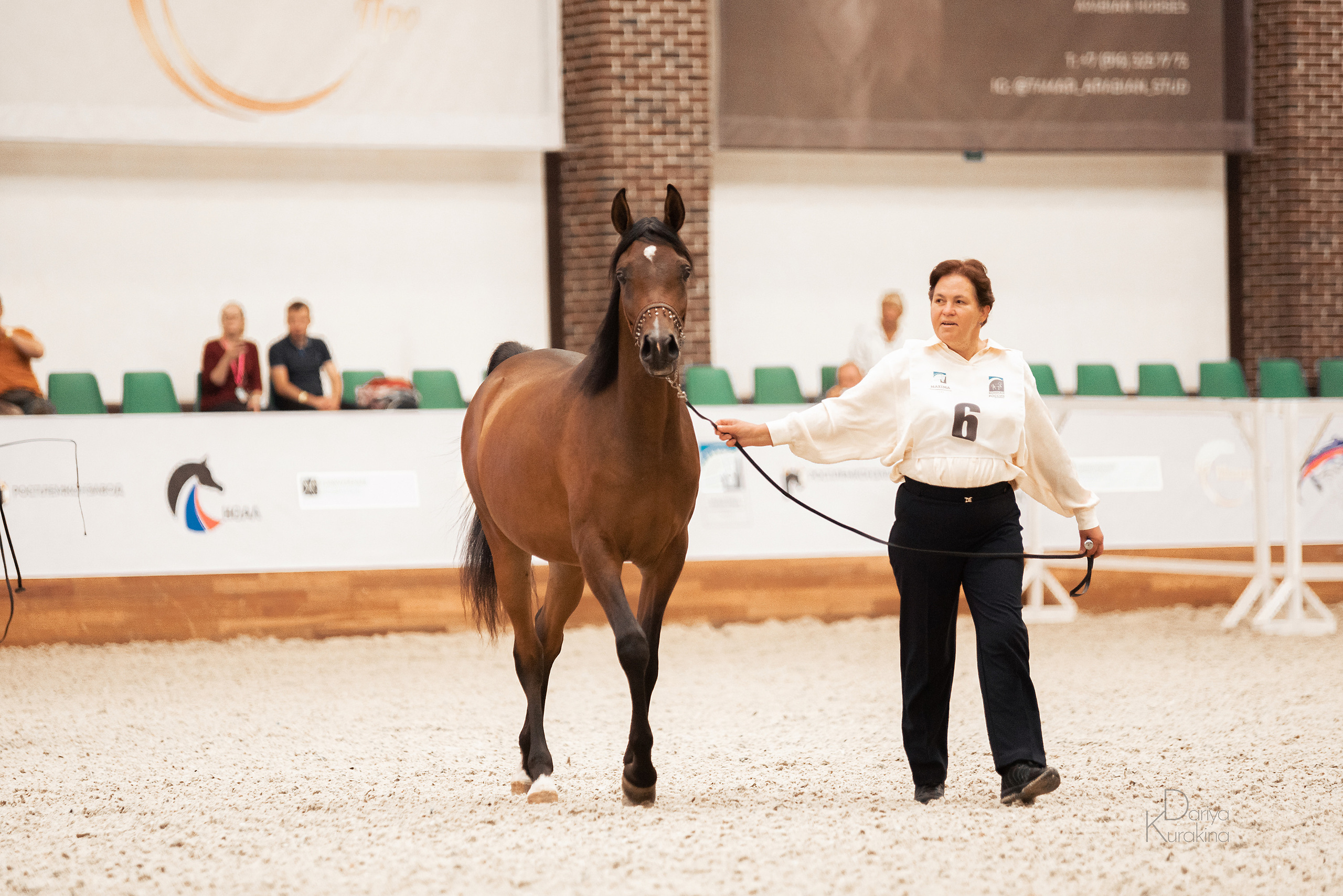 Конная Россия 2021. Конный фотограф Куракина Дарья • Фотосессии с лошадьми