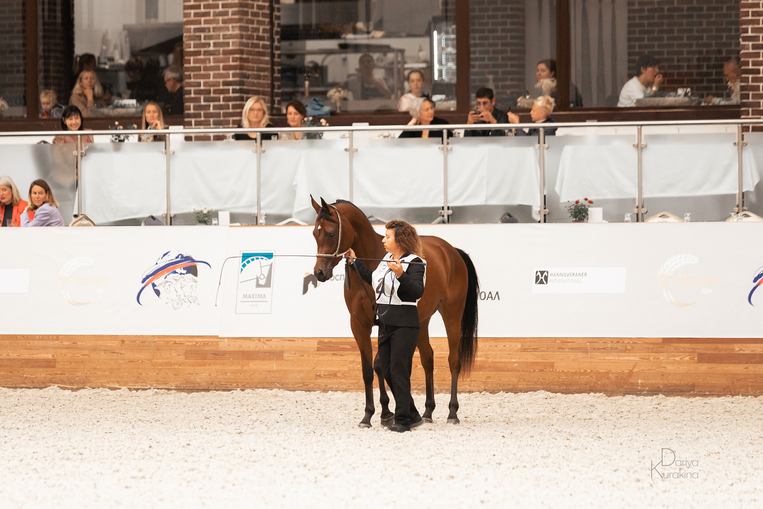 Конная Россия 2021. Конный фотограф Куракина Дарья • Фотосессии с лошадьми