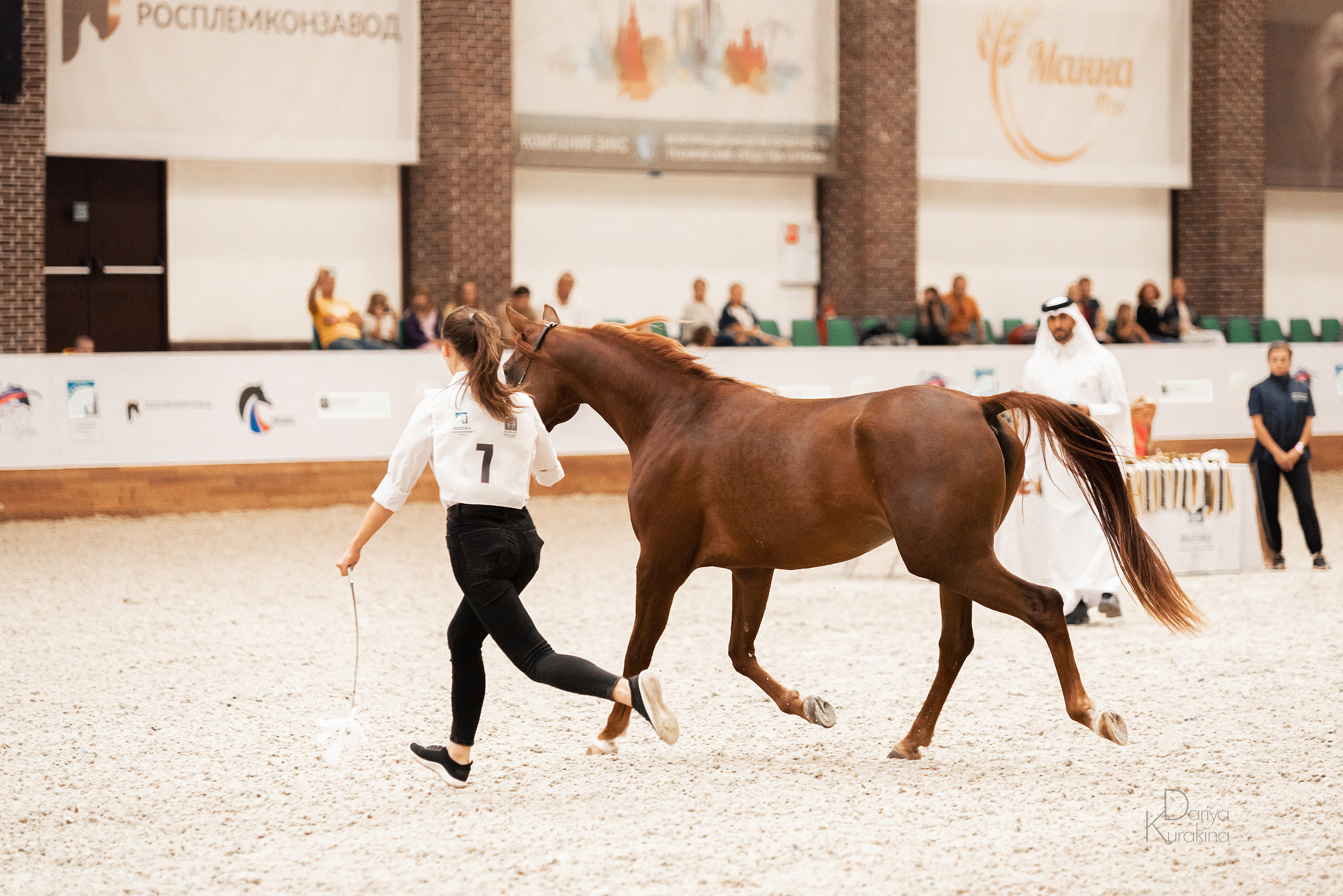 Конная Россия 2021. Конный фотограф Куракина Дарья • Фотосессии с лошадьми