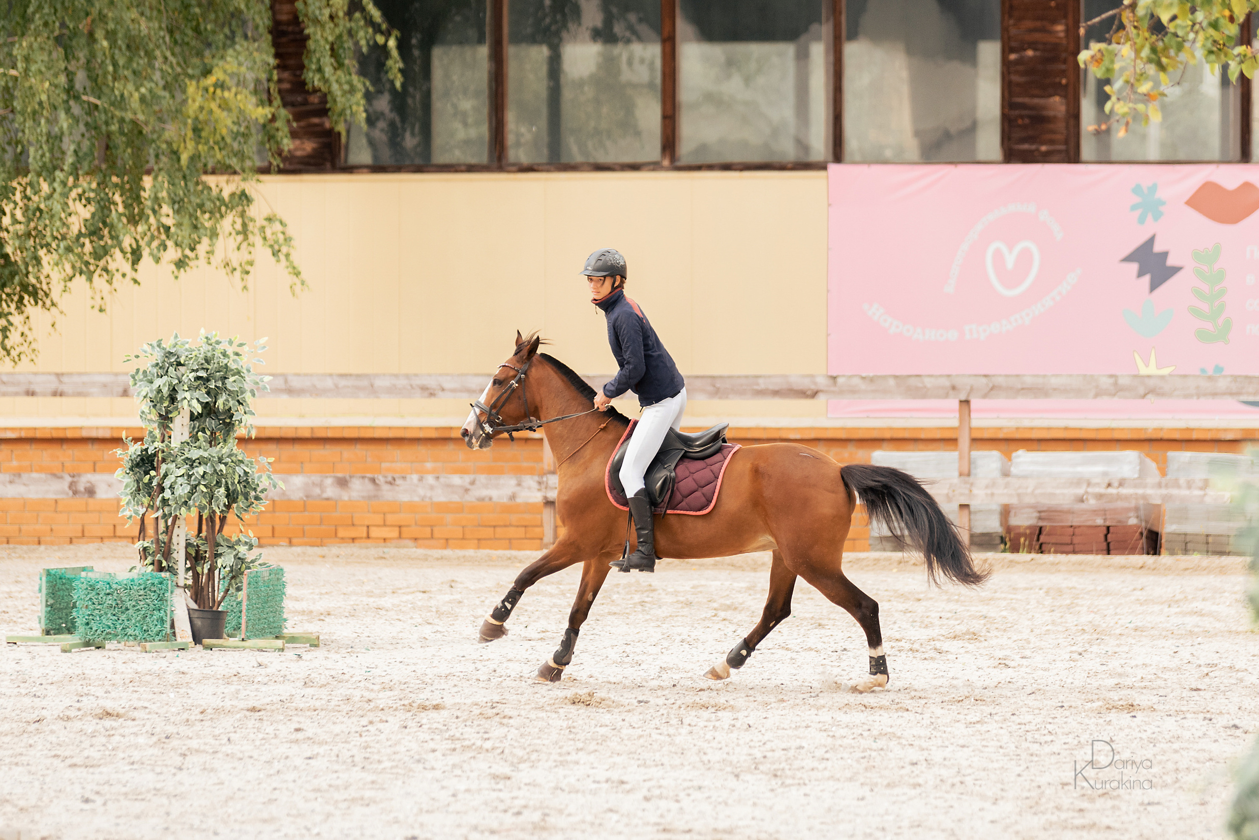 КСК Белая Дача, конкур. Конный фотограф Куракина Дарья • Фотосессии с лошадьми