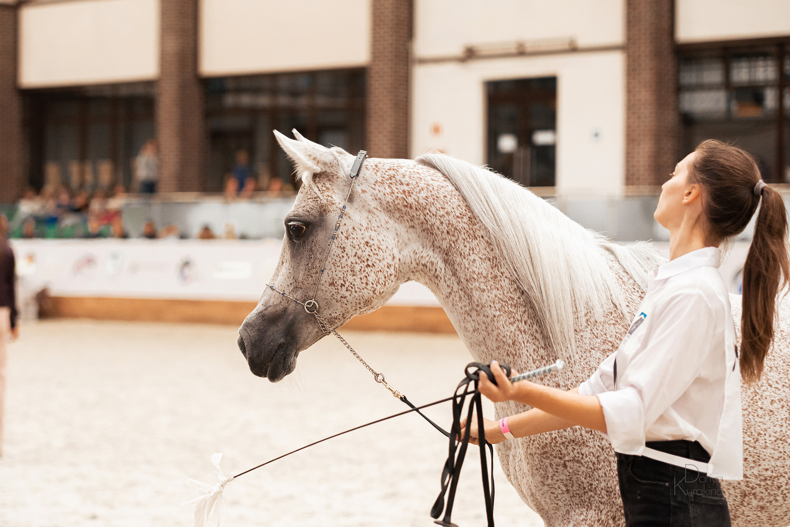 Конная Россия 2021. Конный фотограф Куракина Дарья • Фотосессии с лошадьми