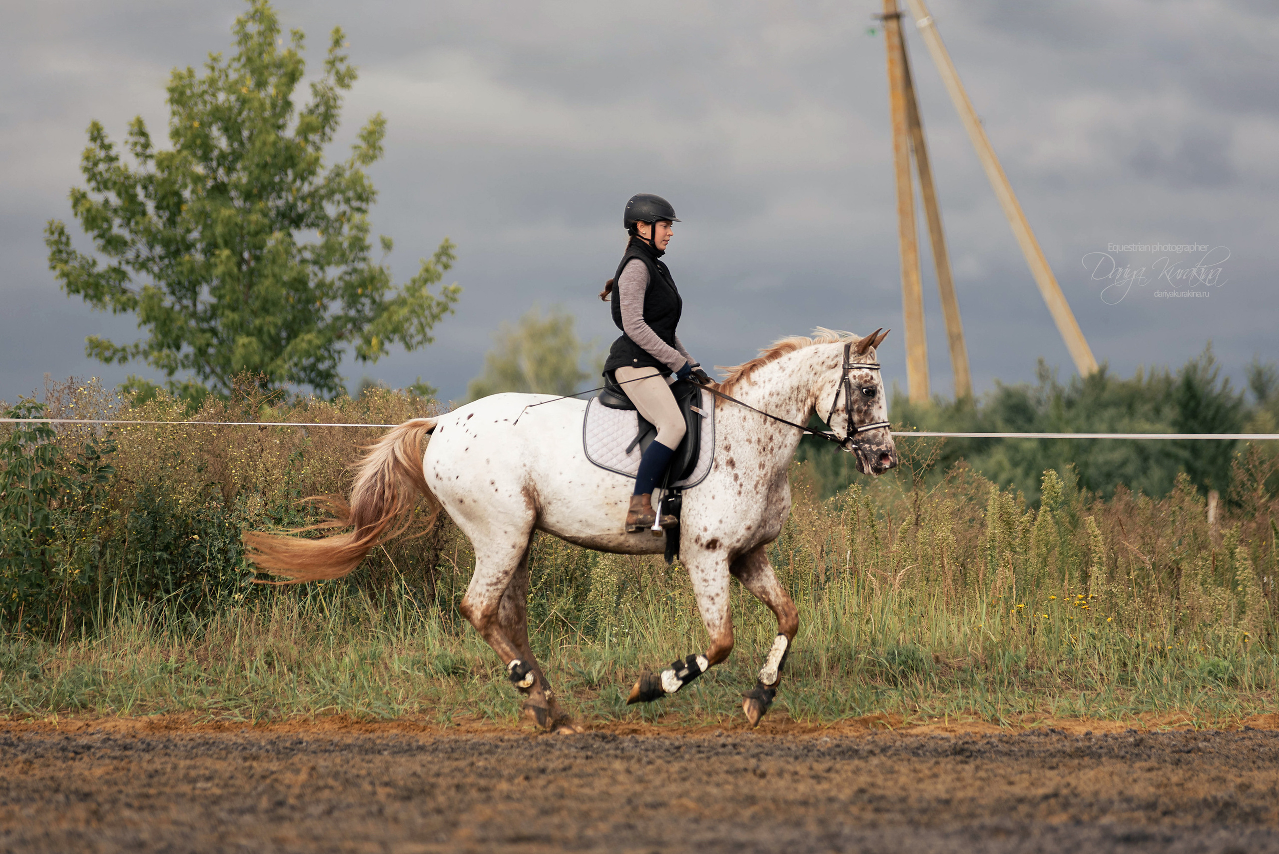 Кнабы. Конный фотограф Куракина Дарья • Фотосессии с лошадьми