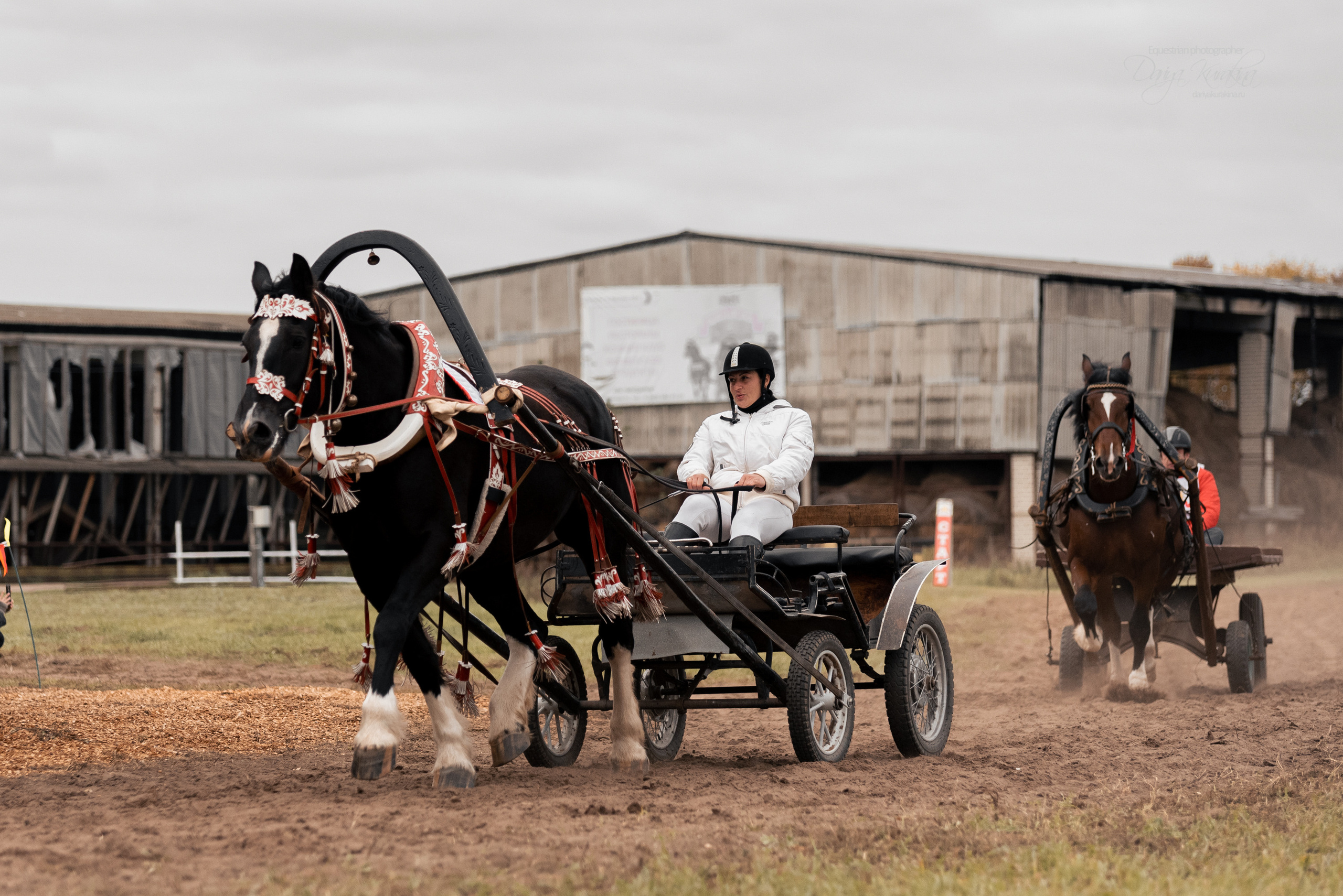 Богдарня. Конный фотограф Куракина Дарья • Фотосессии с лошадьми