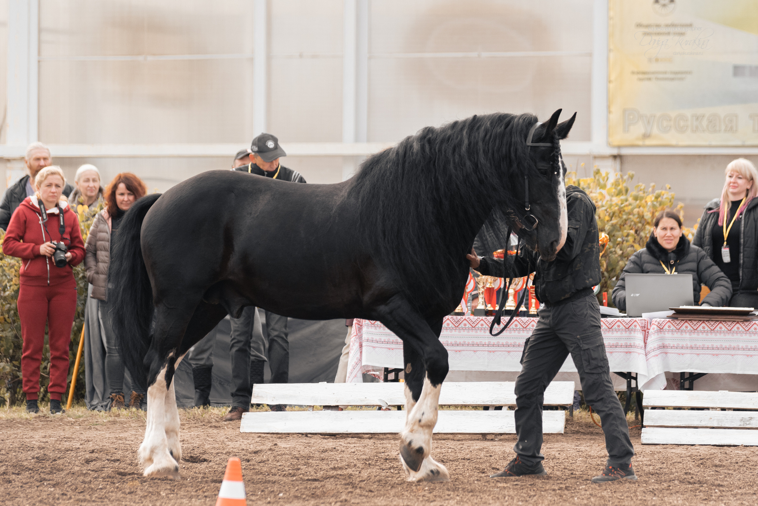 Богдарня. Конный фотограф Куракина Дарья • Фотосессии с лошадьми